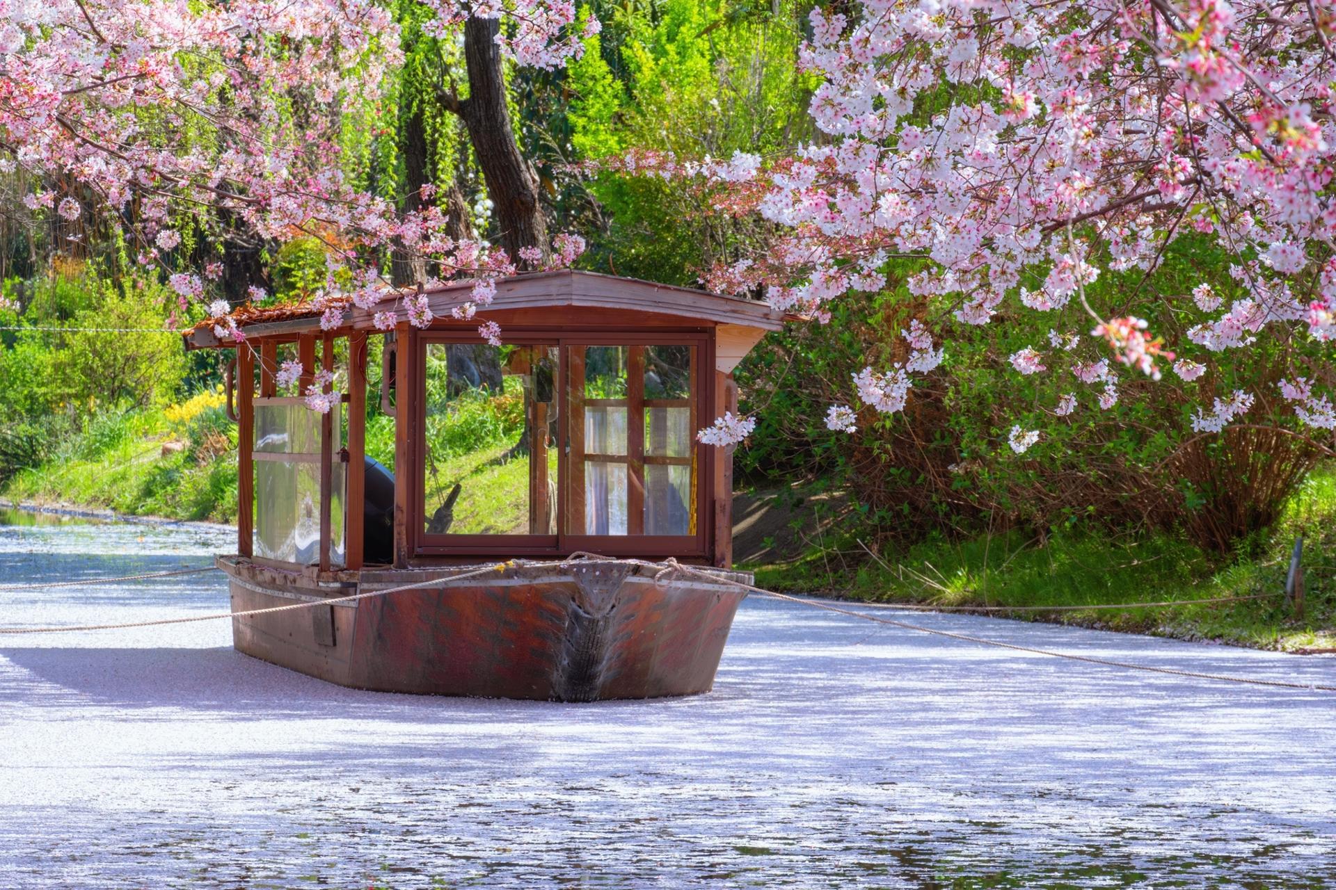 Kyoto & Nara Tour – Small Group - Thumbnail 3