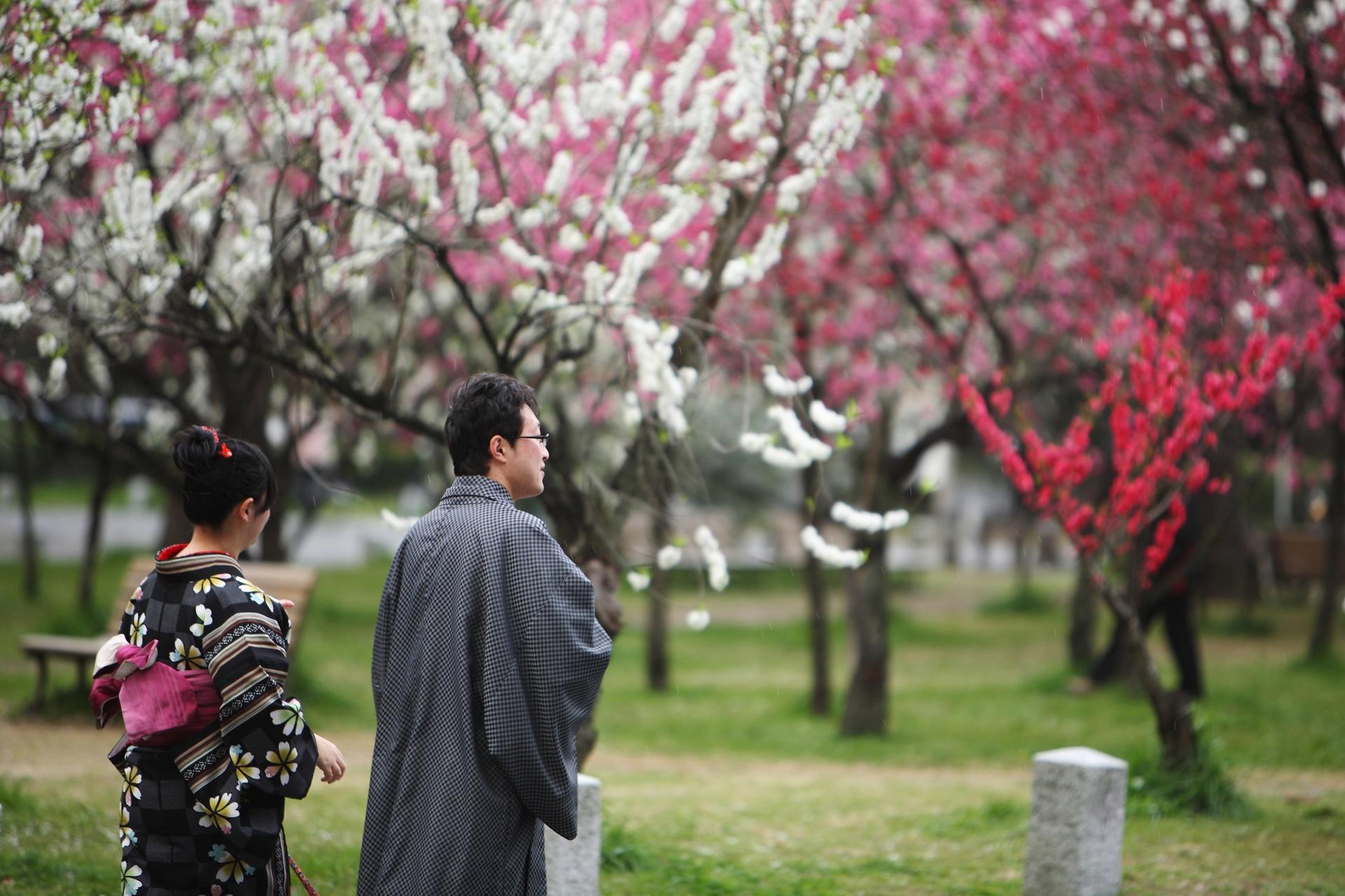 Kyoto Imperial Palace & Nijo Castle Small Group Guided Walking Tour  - Thumbnail 12