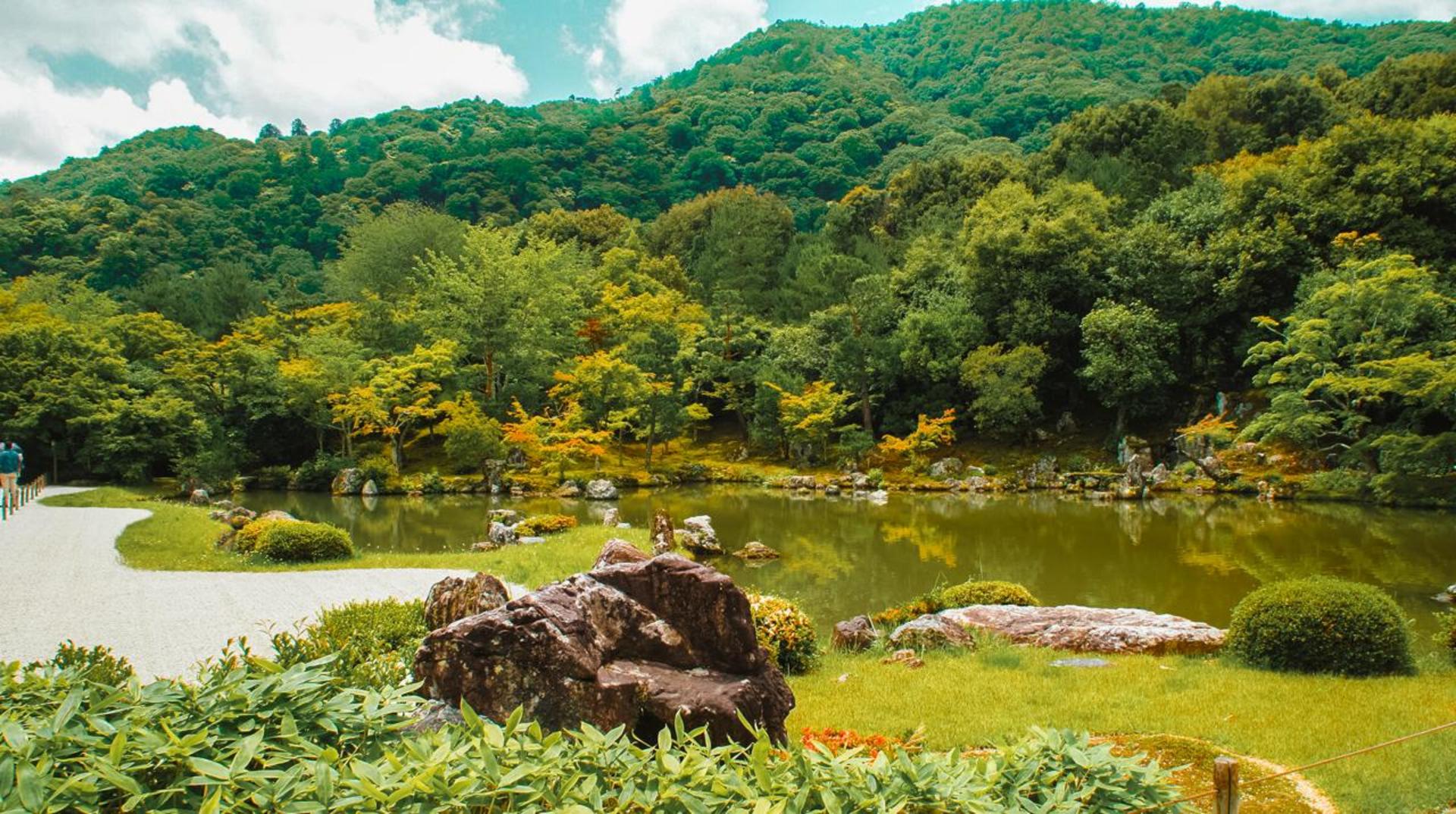 Kyoto: Arashiyama Bamboo, Matcha, Monkeys & Temple Tour - Thumbnail 8