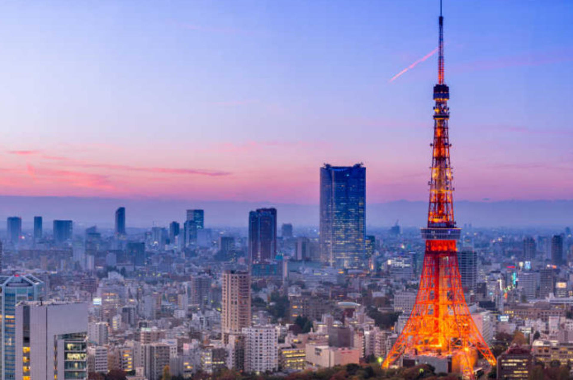 Tokyo Yakatabune Cruise: Sukiyaki Cuisine, Show Performance, and Tokyo Tower Sightseeing Plan - Thumbnail 4