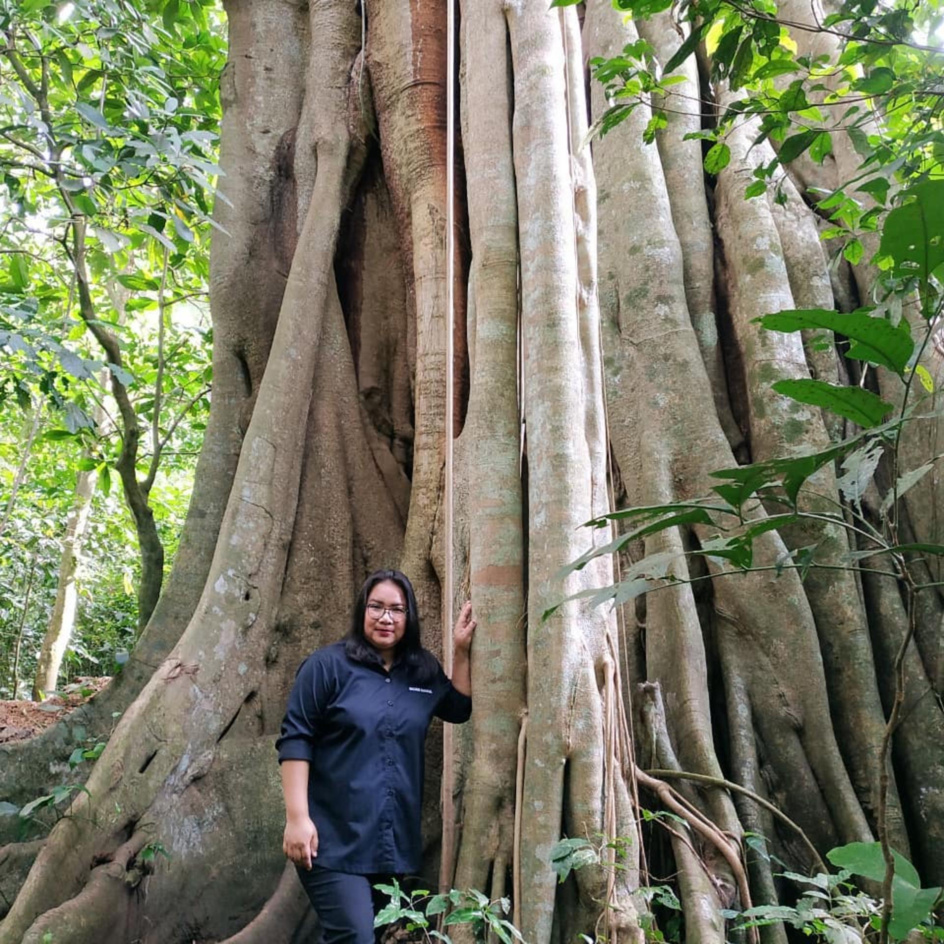Lombok Tengah Full-Day Private Tour - Thumbnail 2