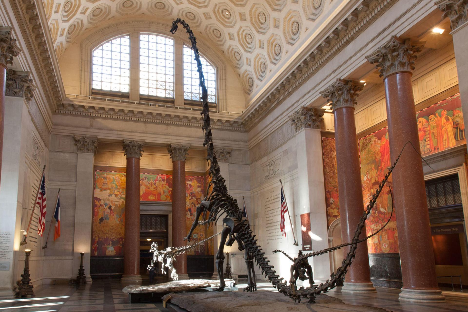 American Museum of Natural History Ticket - Thumbnail 2