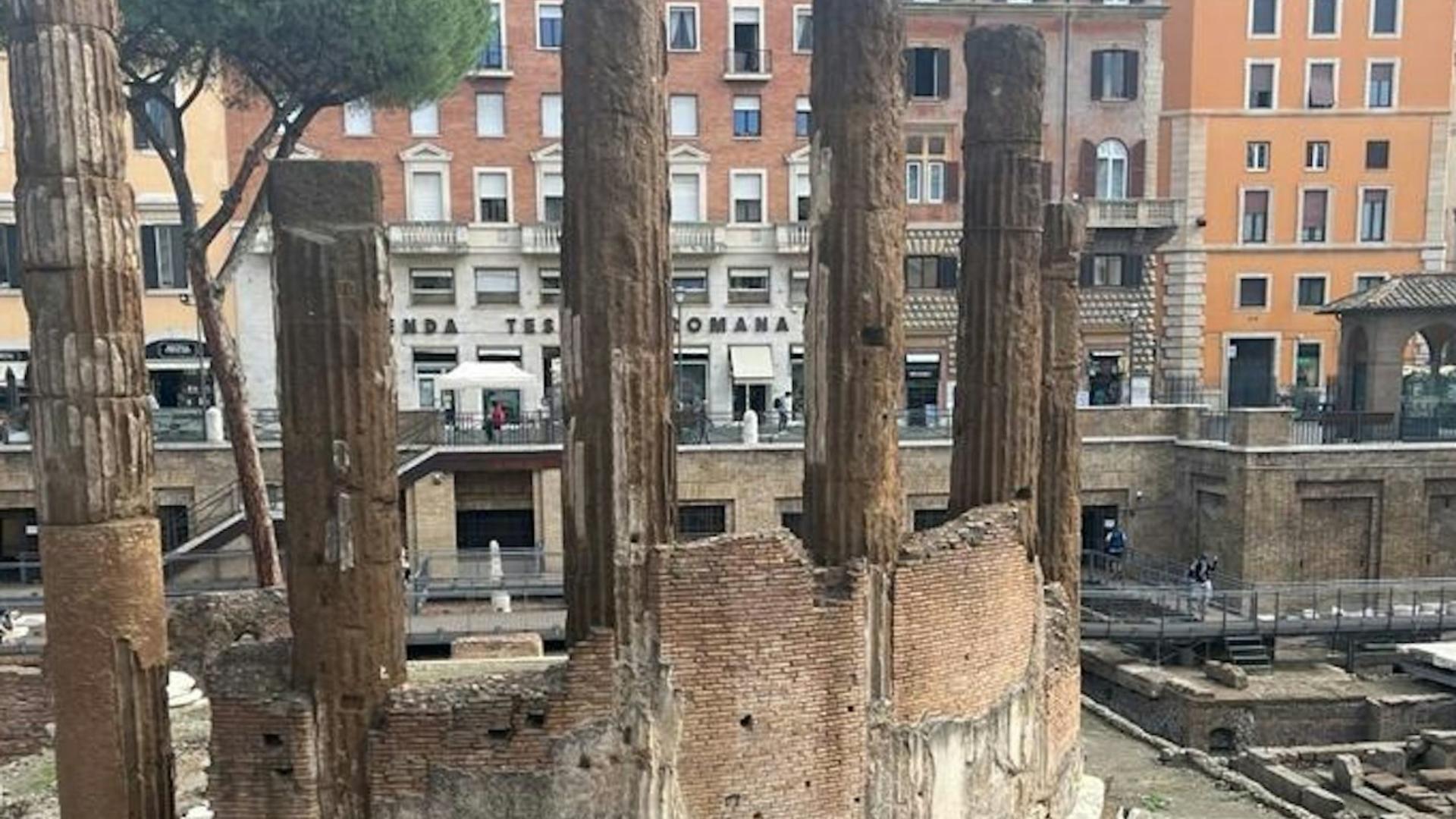 Archeological Area Largo Argentina in Rome - Thumbnail 5