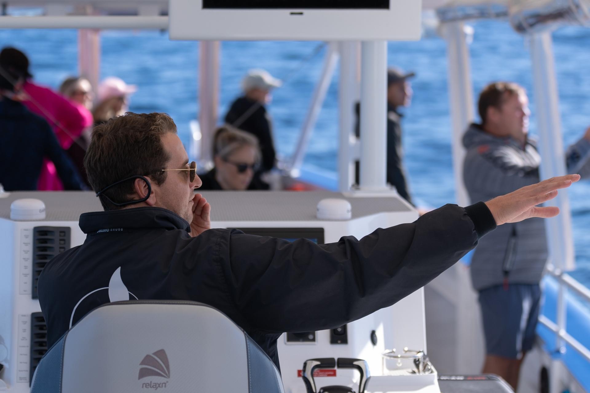 Whale Watching Experience Gold Coast - Thumbnail 7