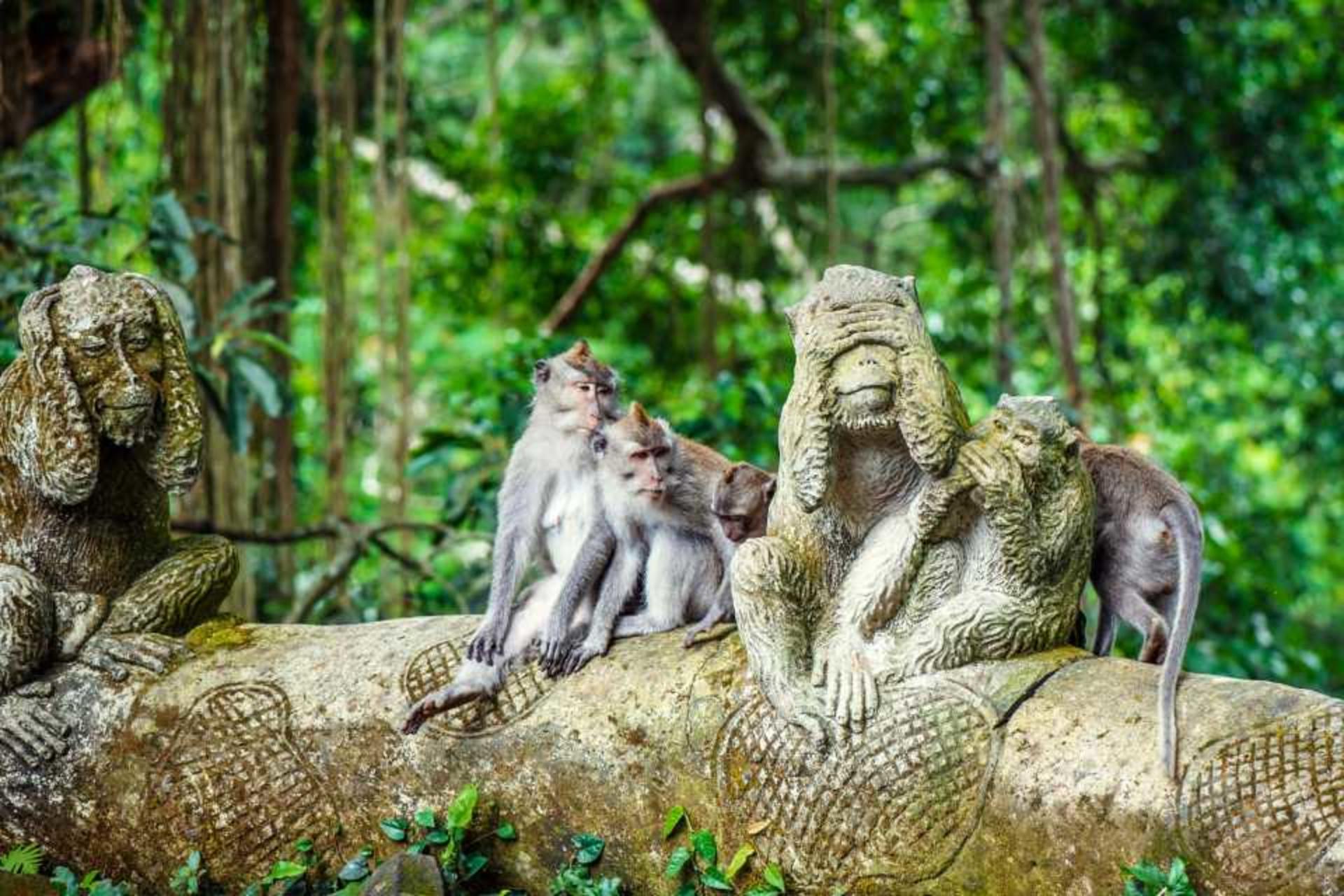 Highlights of Bali Private 2 Days Tour - Thumbnail 3