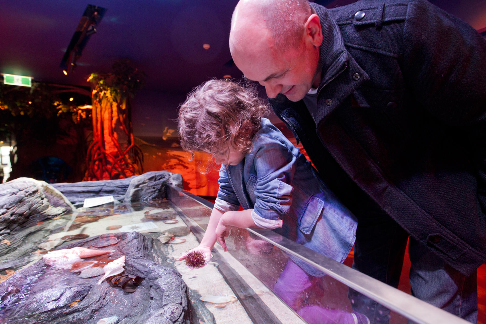 Melbourne SEA LIFE Aquarium & Legoland Discovery Centre Attraction Pass - Thumbnail 5