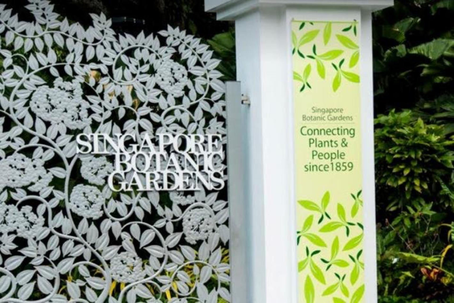 [Klook Exclusive] Singapore Garden City Walking Tour - Thumbnail 2