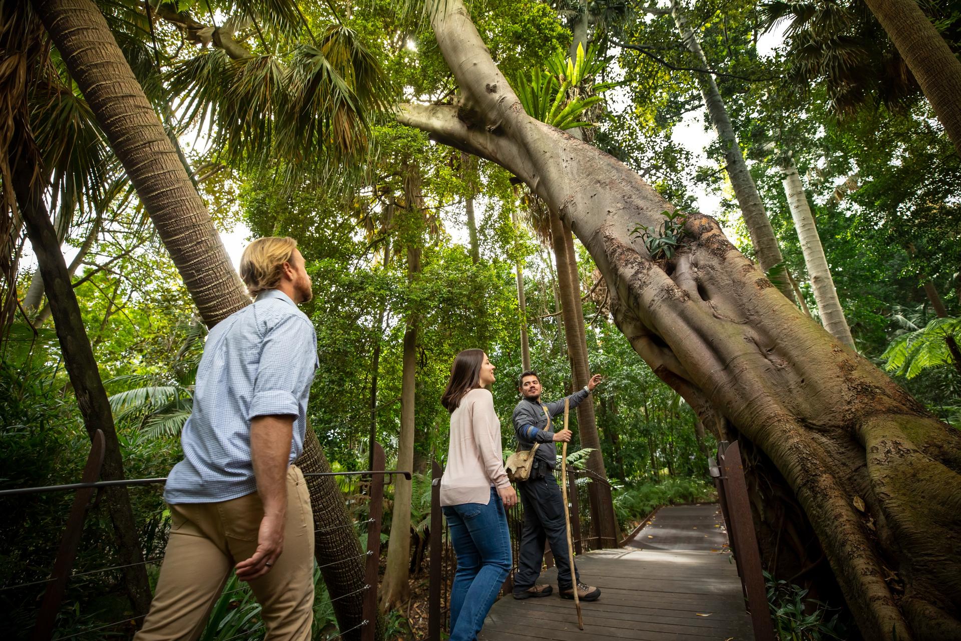 Royal Botanic Gardens Melbourne and Aboriginal Heritage Walk Ticket - Image 1