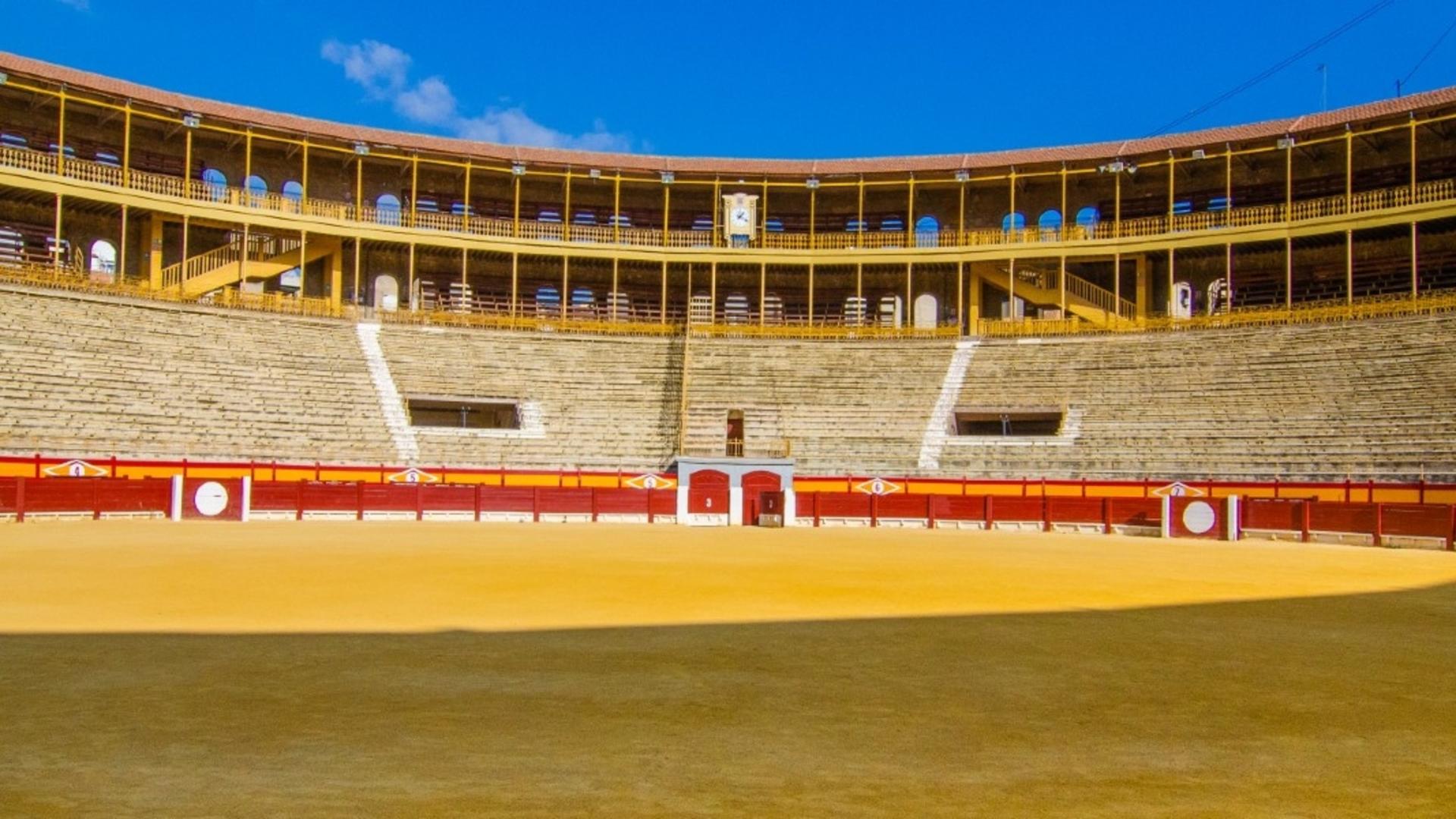  Alicante Bullring and Bullfighting Museum ticket  - Thumbnail 2