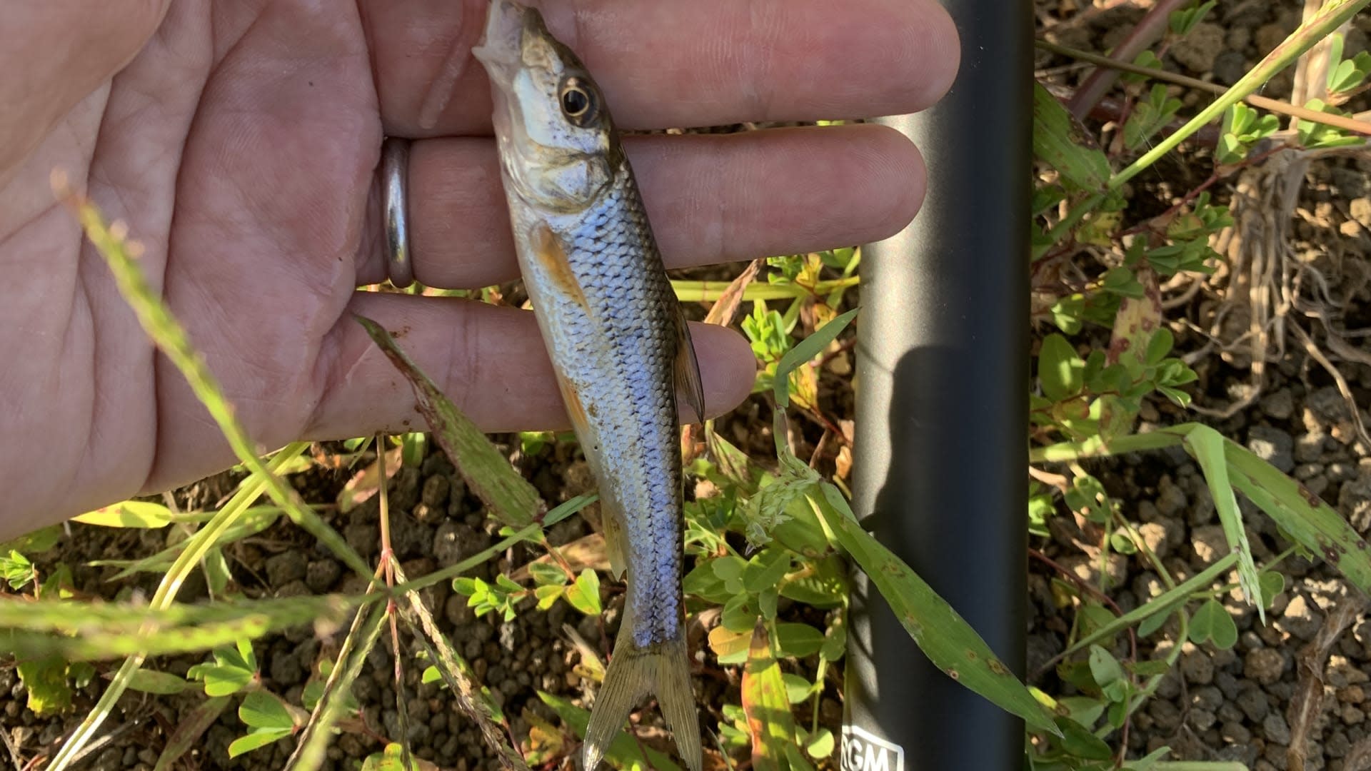 Lampas Outdoor Life: Traditional Japanese Fishing Experience - Thumbnail 19