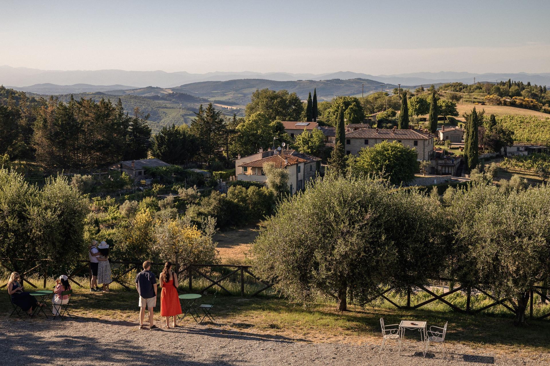 Chianti Wine Tastings Tour with Optional Cooking Experience - Thumbnail 14