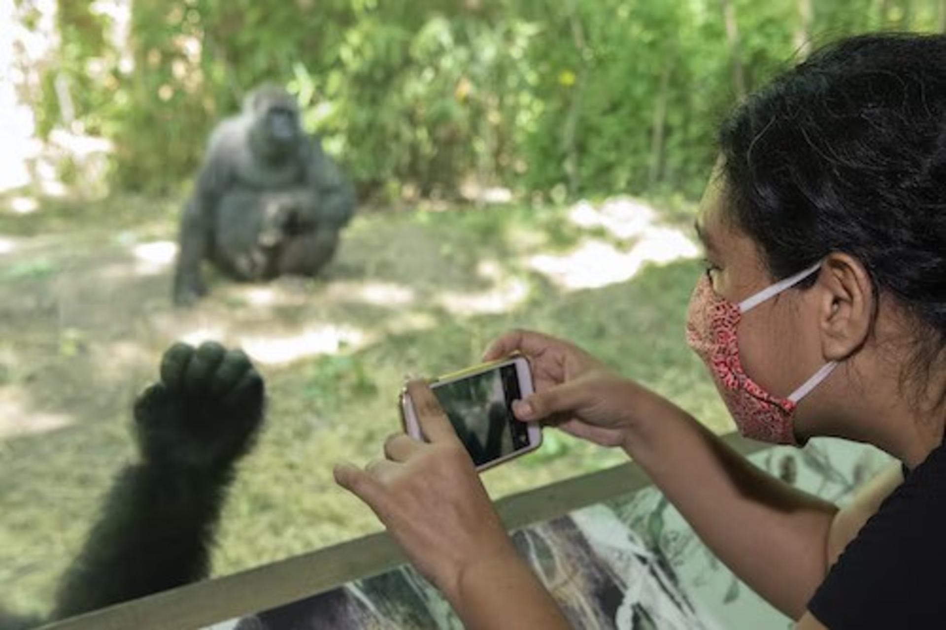 Bronx Zoo Ticket in New York - Thumbnail 3