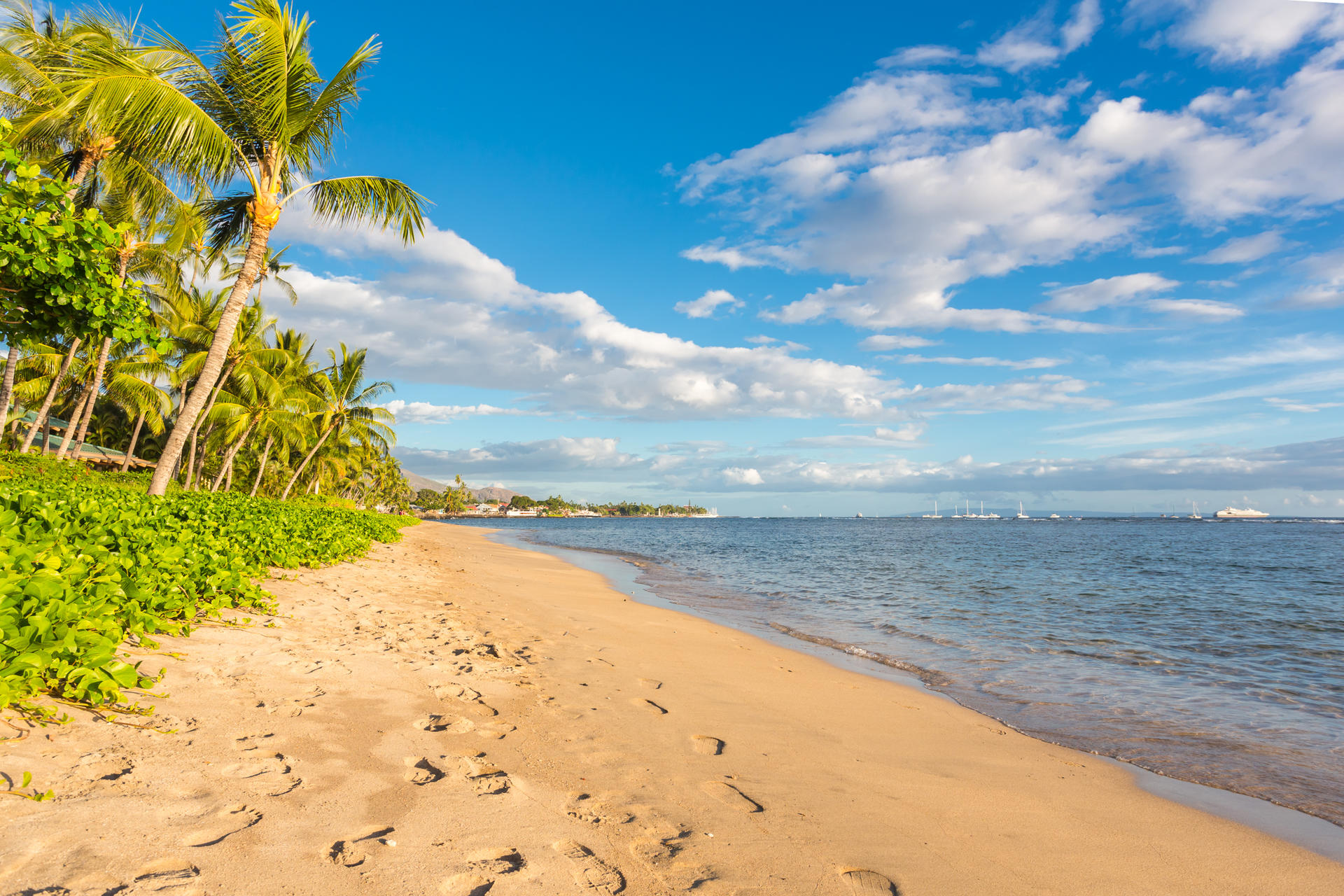 Maui Beach Parks Self-Guided Driving Audio Tour - Thumbnail 4