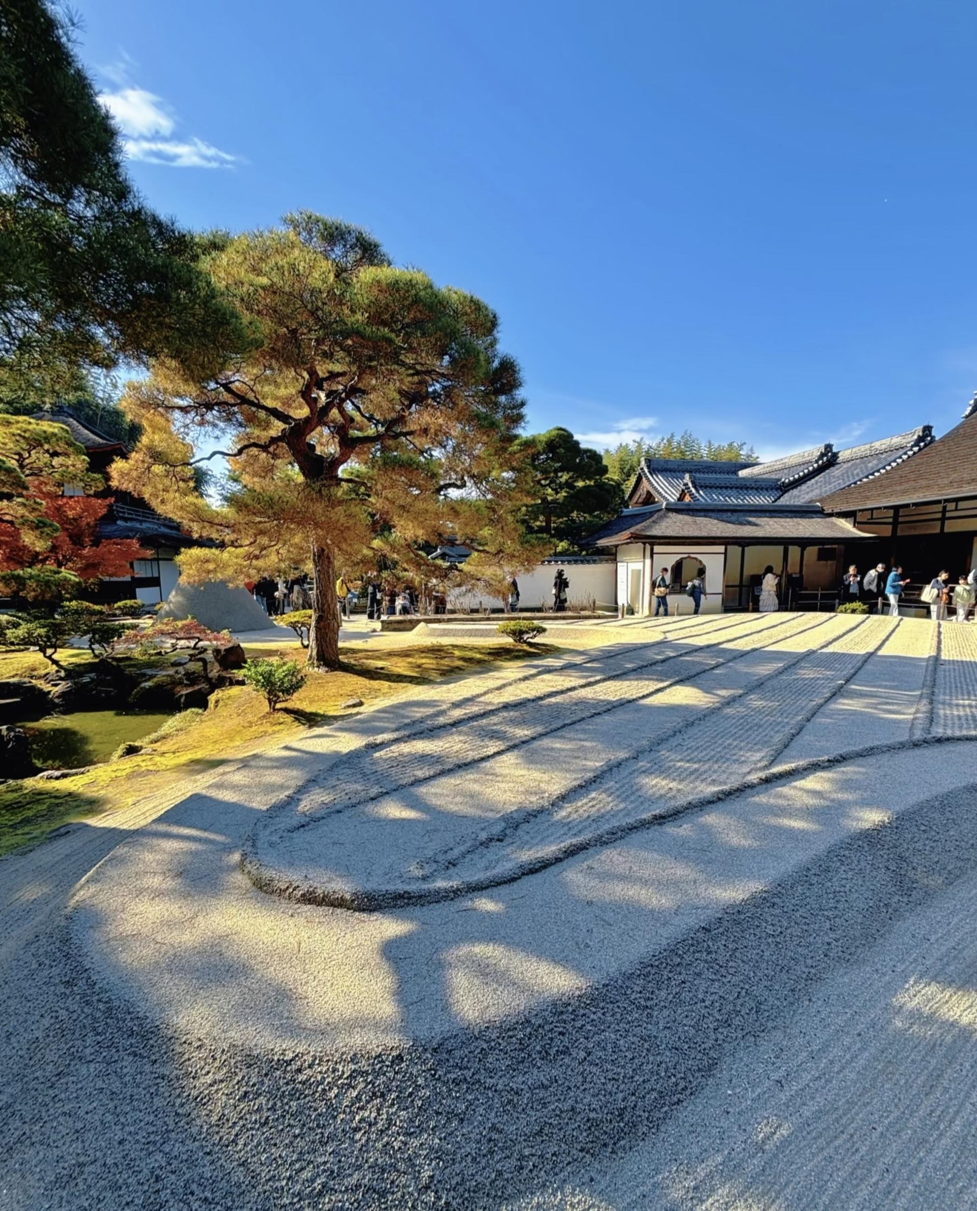 Kyoto one-day private tour (1~4 people) - Thumbnail 26