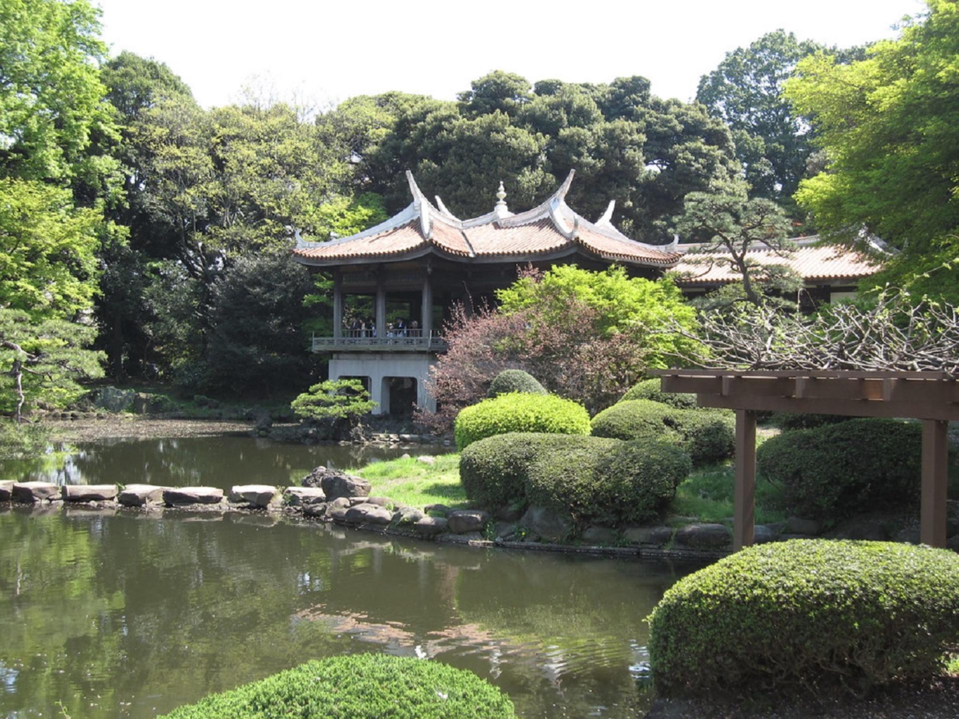 Shinjuku Gyoen National Garden - 2 Hours Walking Tour - Thumbnail 9
