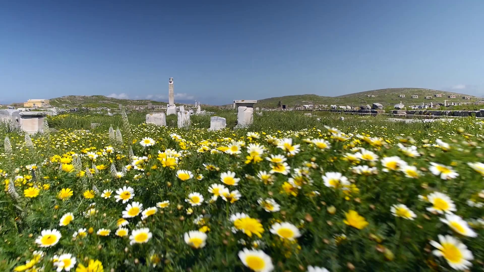 Half Day Delos Tour  from Mykonos in English - Thumbnail 5