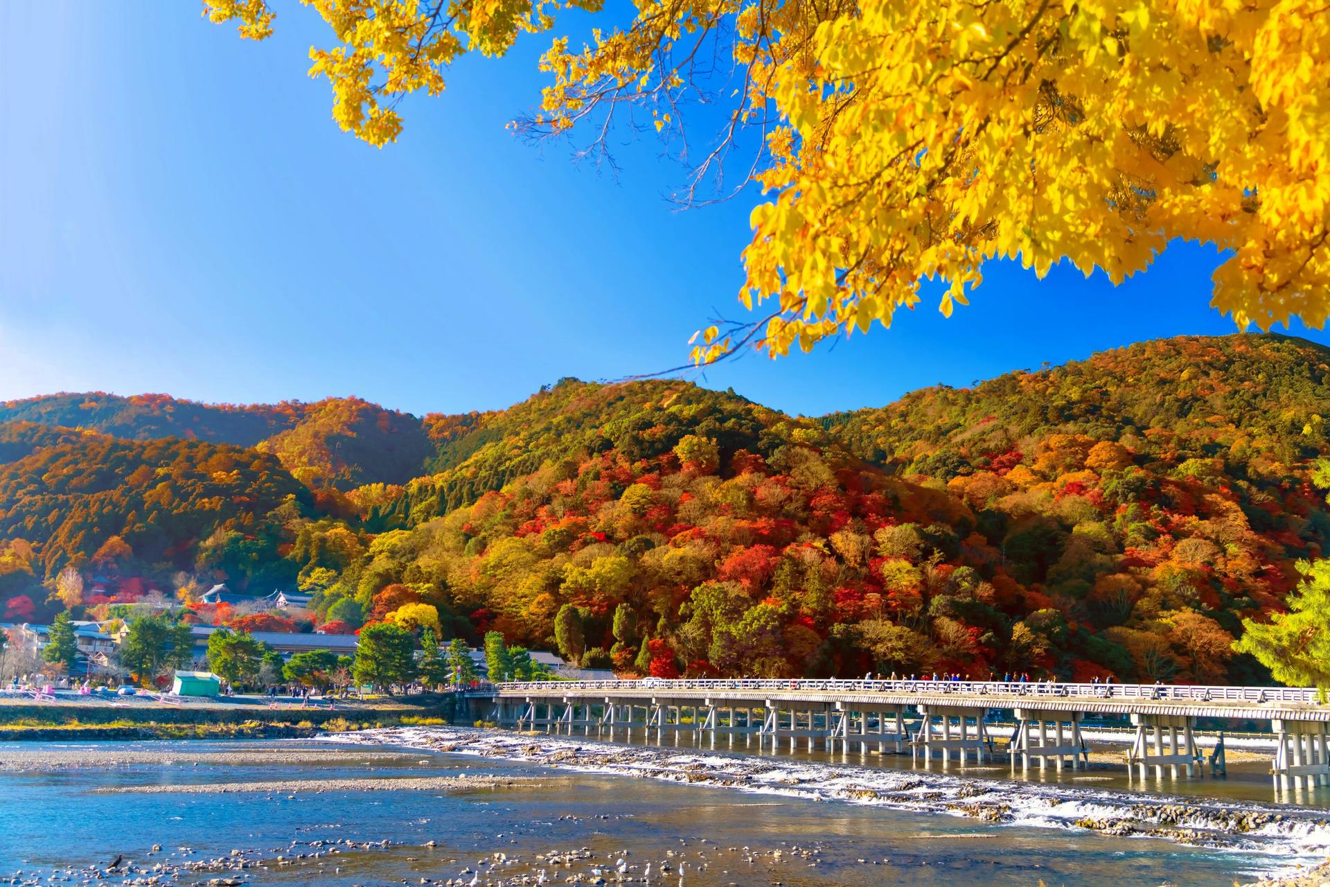 Best of Kyoto & Nara: Kiyomizudera, Nara Park, Todaiji & Much More - Thumbnail 3