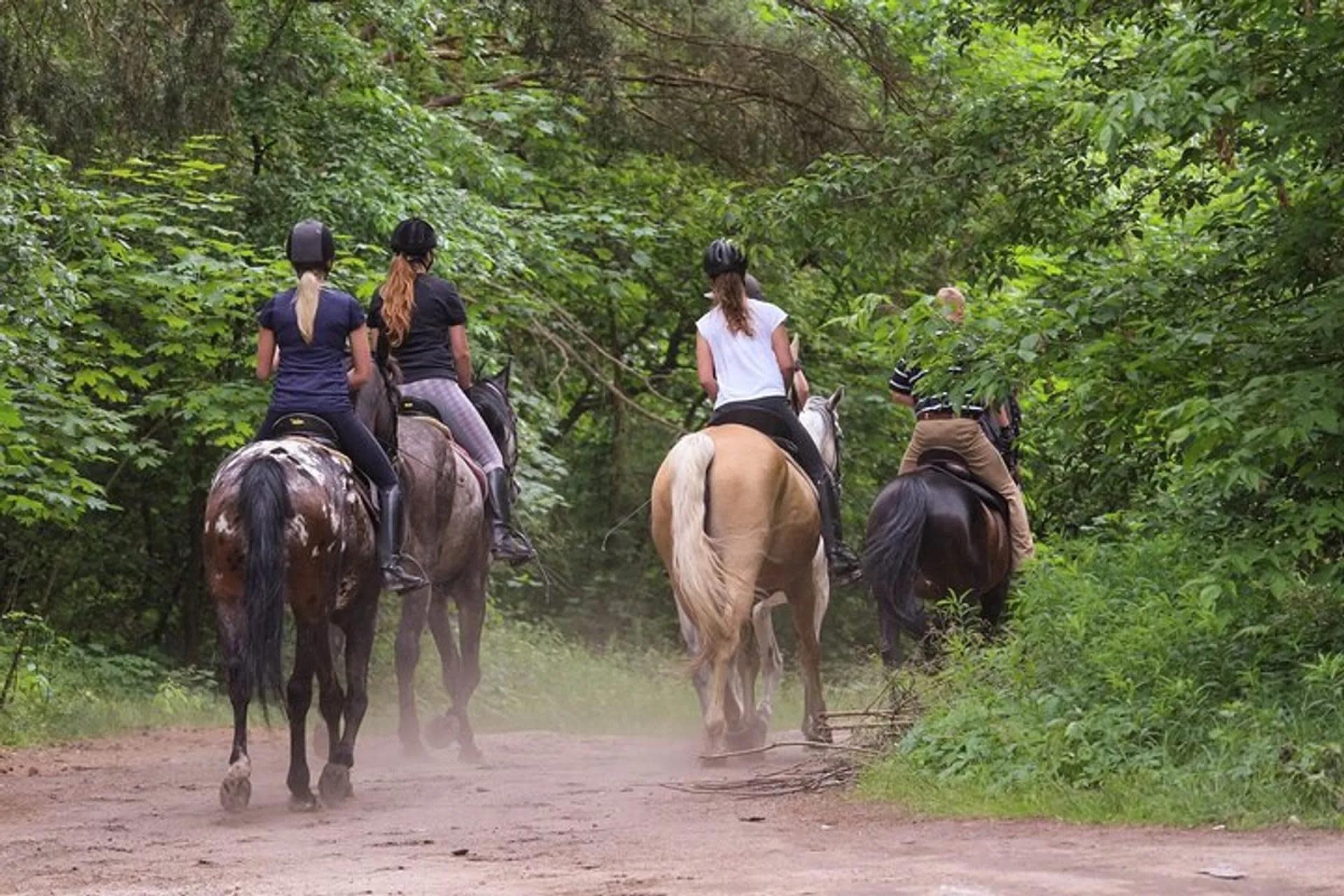 Kusadasi Horse Riding Experience with Transfer - Image 1