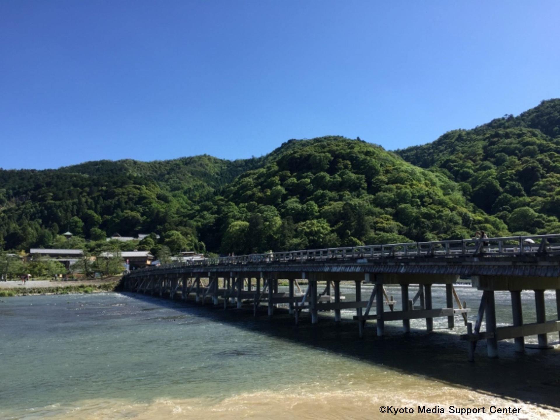 Kyoto Arashiyama Walking Tour: Sagano Bamboo Grove & Tenryu-ji - Thumbnail 10