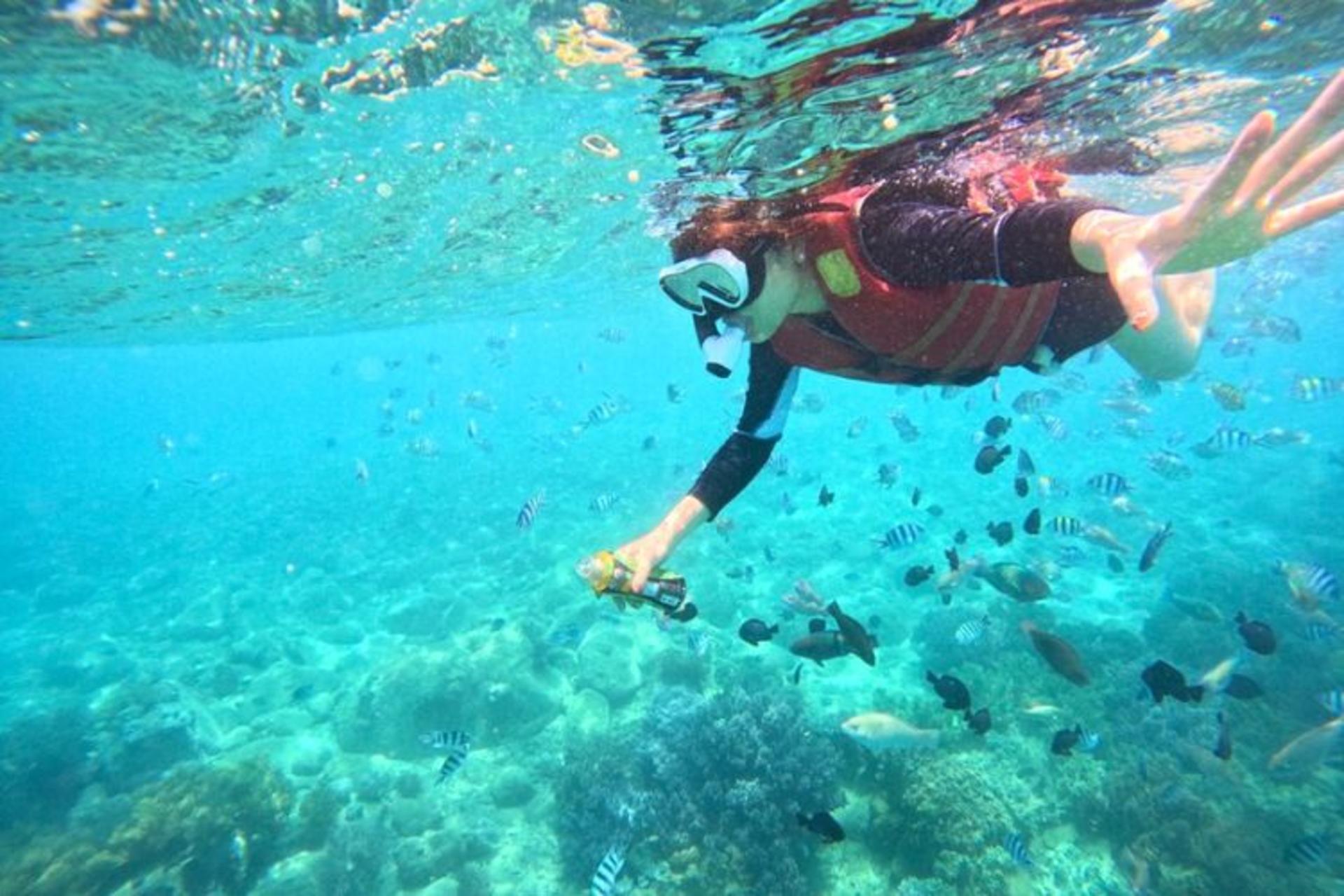 Half-Day Snorkeling Adventure At Mun Island with BBQ Lunch - Thumbnail 4