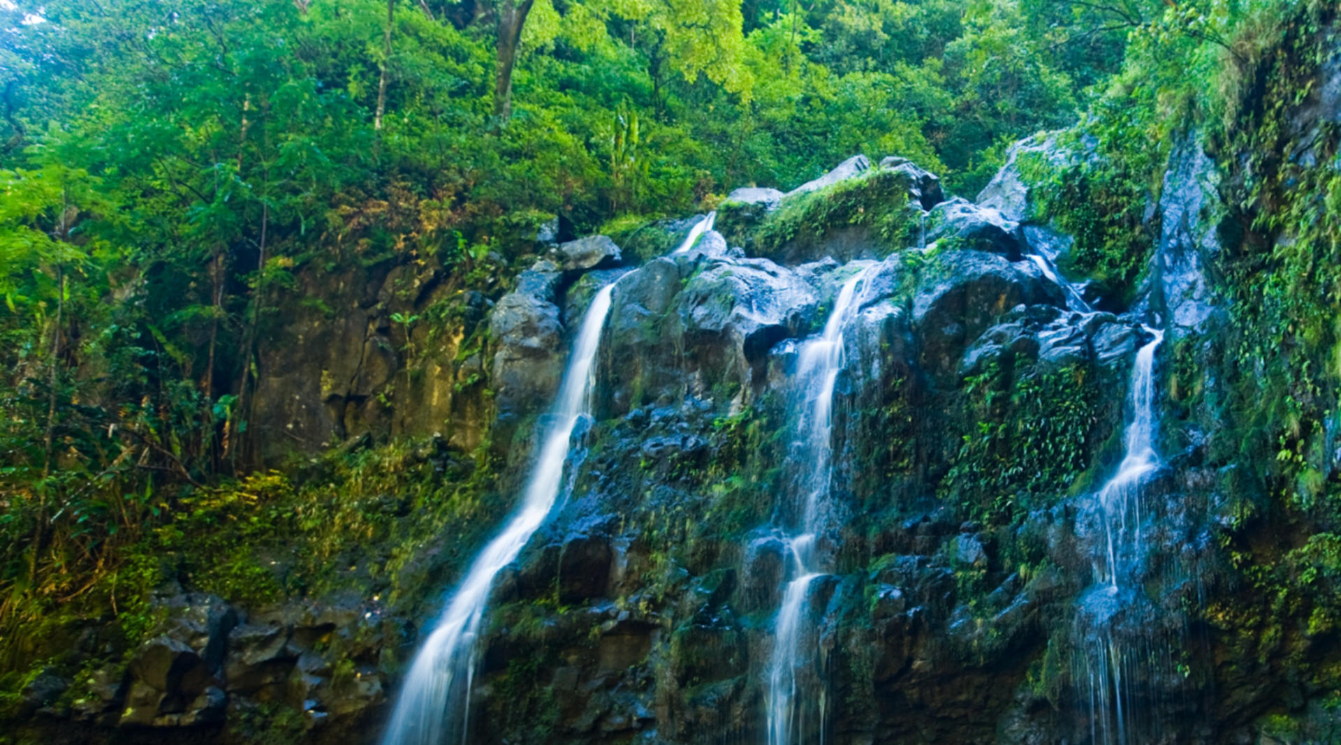 Road to Hana Adventure Tour in Maui - Thumbnail 4