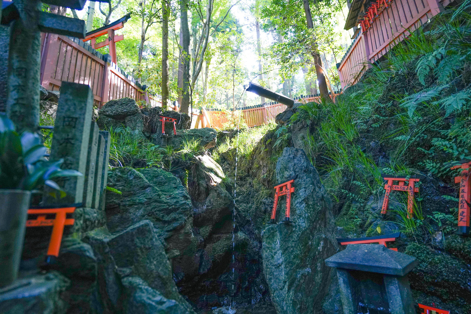 Fushimi Inari Hidden Hiking Tour : Escape the Crowds - Thumbnail 12