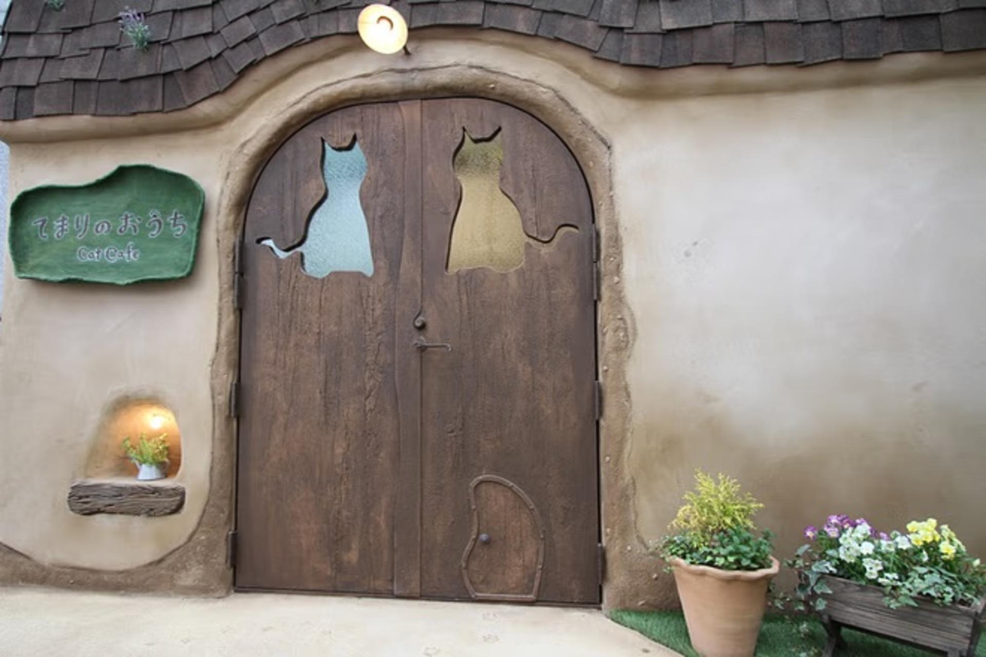 Tokyo Cat Cafe in Kichijoji - Forest Themed - Thumbnail 5
