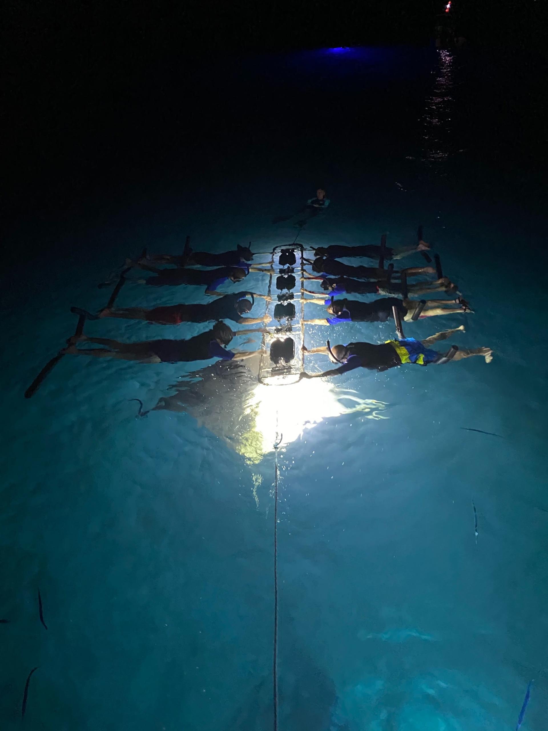 Sunset and Manta Ray Snorkel Experince - Image 1