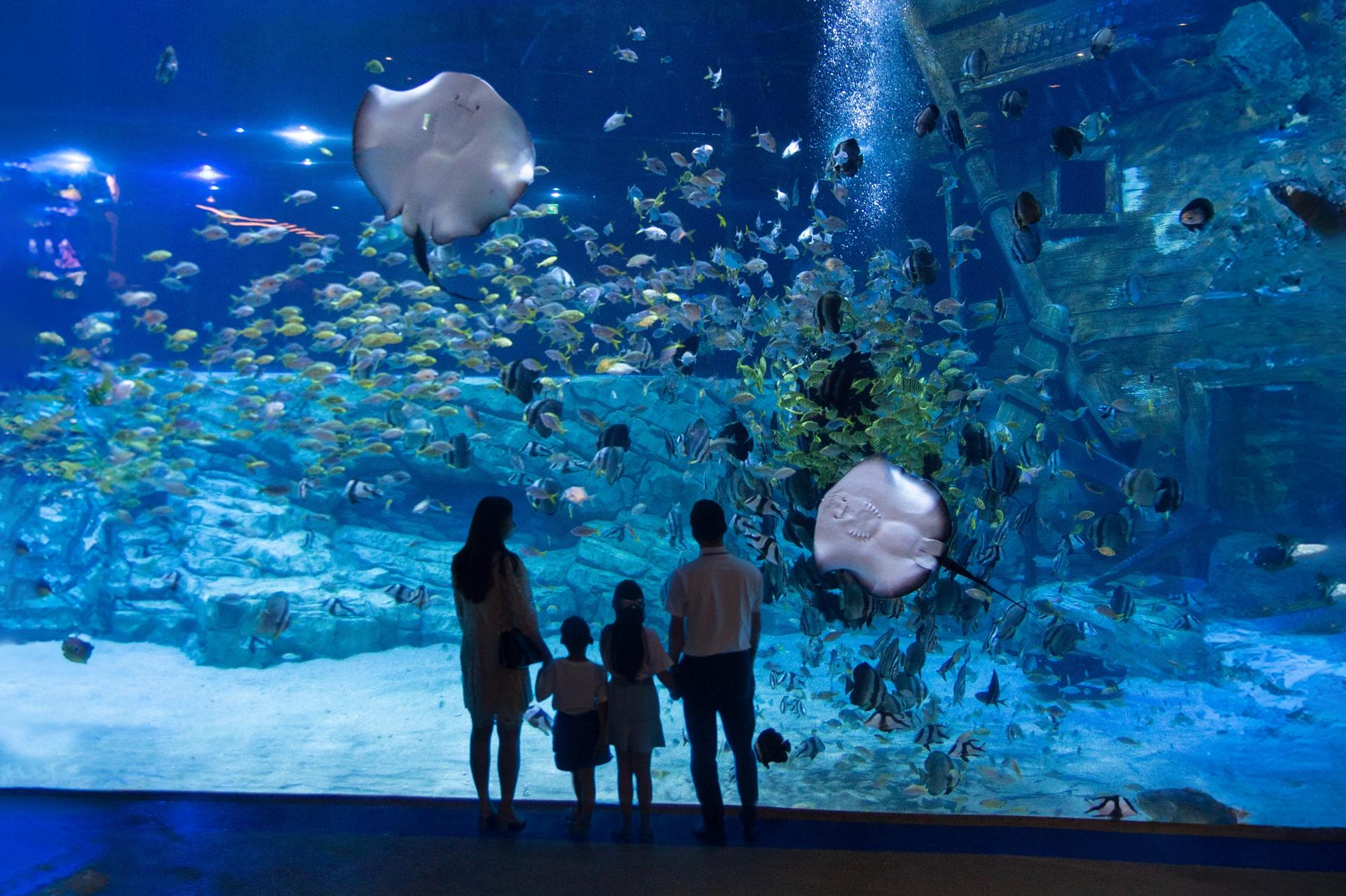 Lotte World Aquarium Hanoi Ticket - Image 1