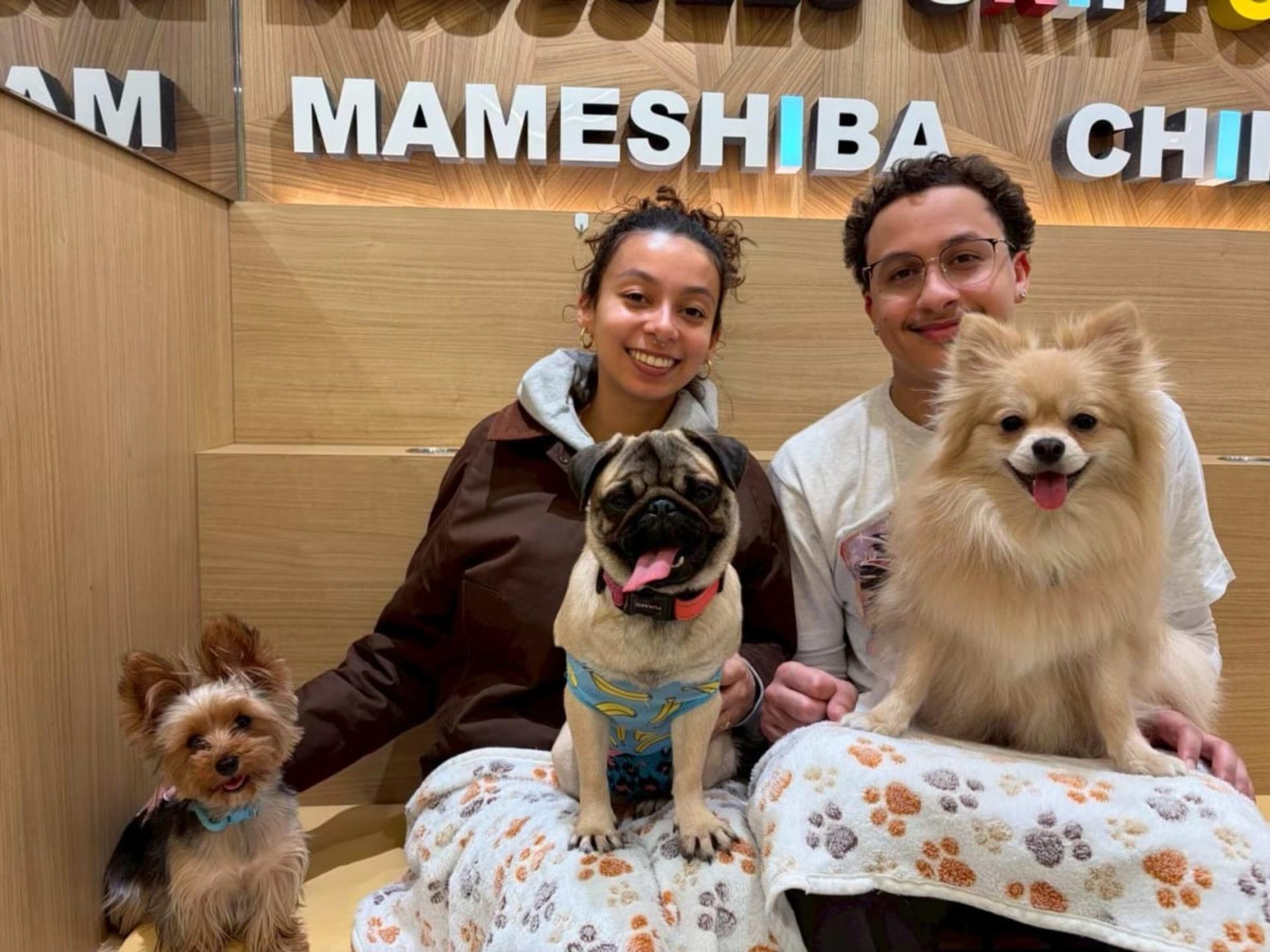 Play with Dogs at Dog Cafe Rio Akihabara [Dog Cafe Rio Akihabara] - Image 1