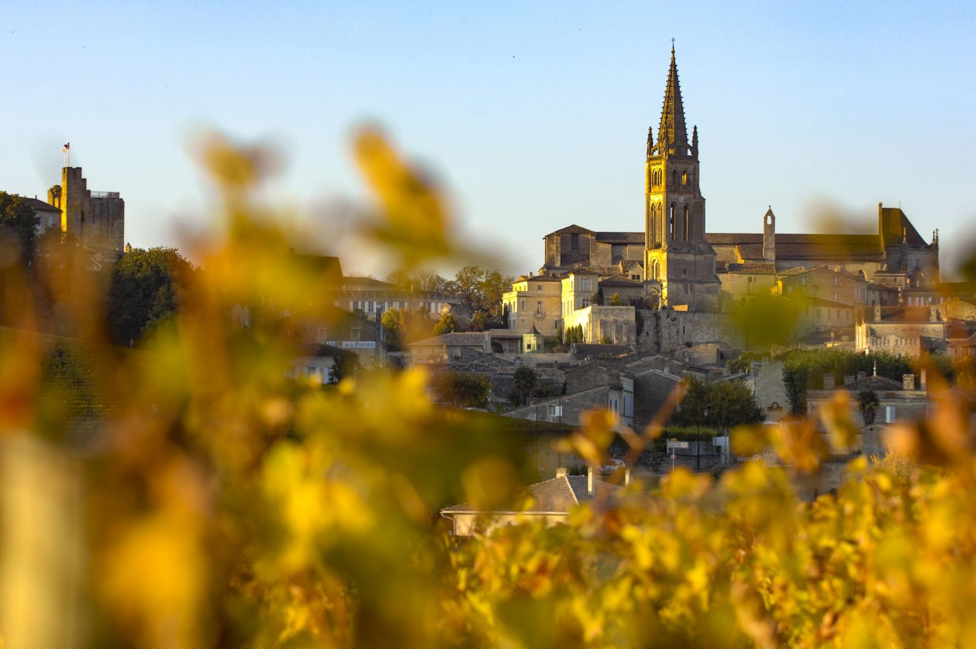 Saint-Emilion Half Day Wine Tour from Bordeaux - Thumbnail 5