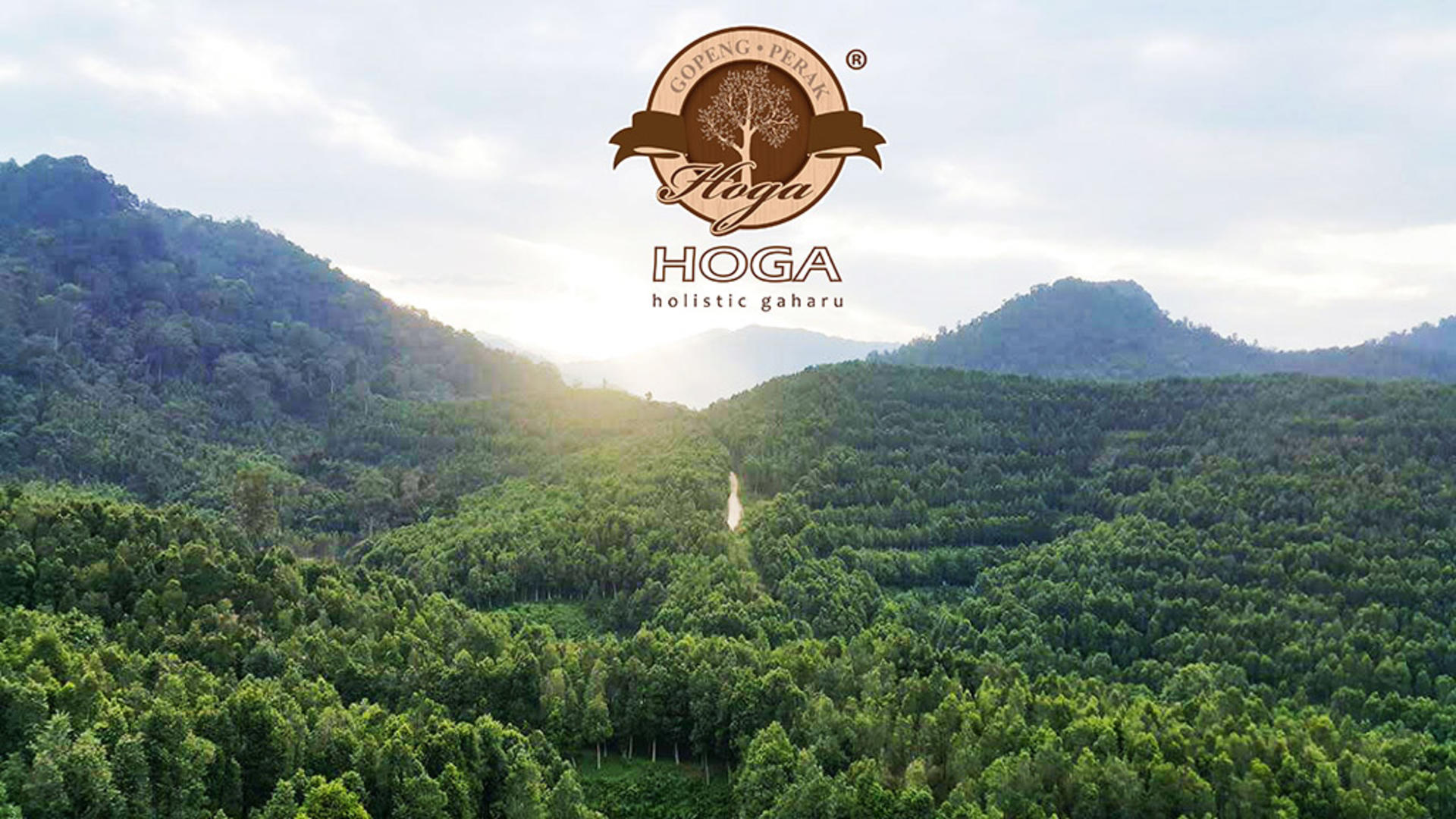 HOGA Gaharu Tea Branch Full-Day Guided Interactive Experience