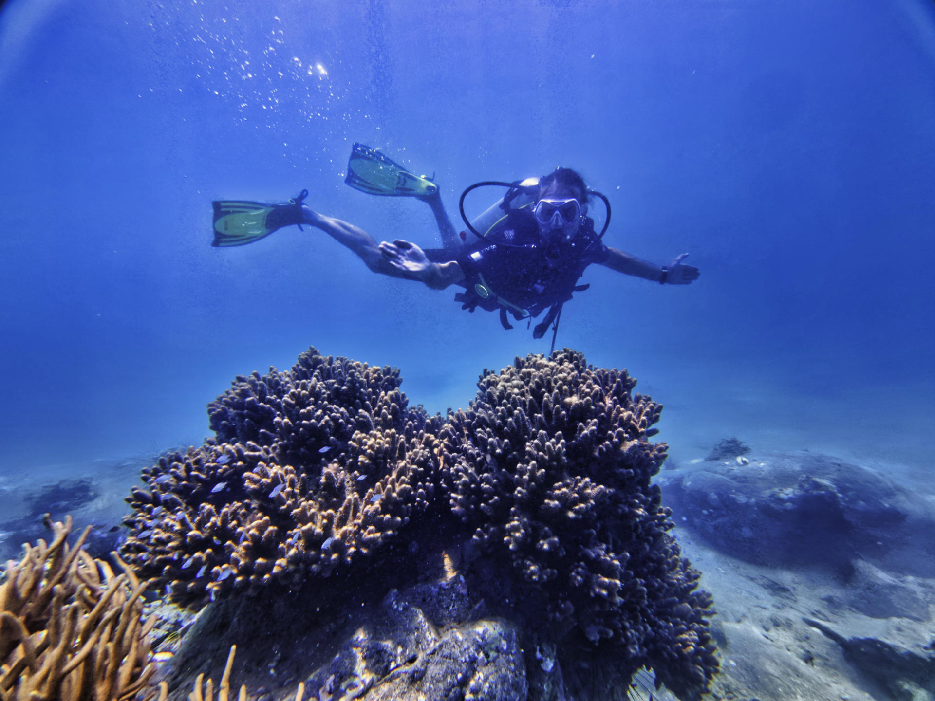 Nha Trang Half-Day Snorkeling & Diving Yacht Tour - Thumbnail 4