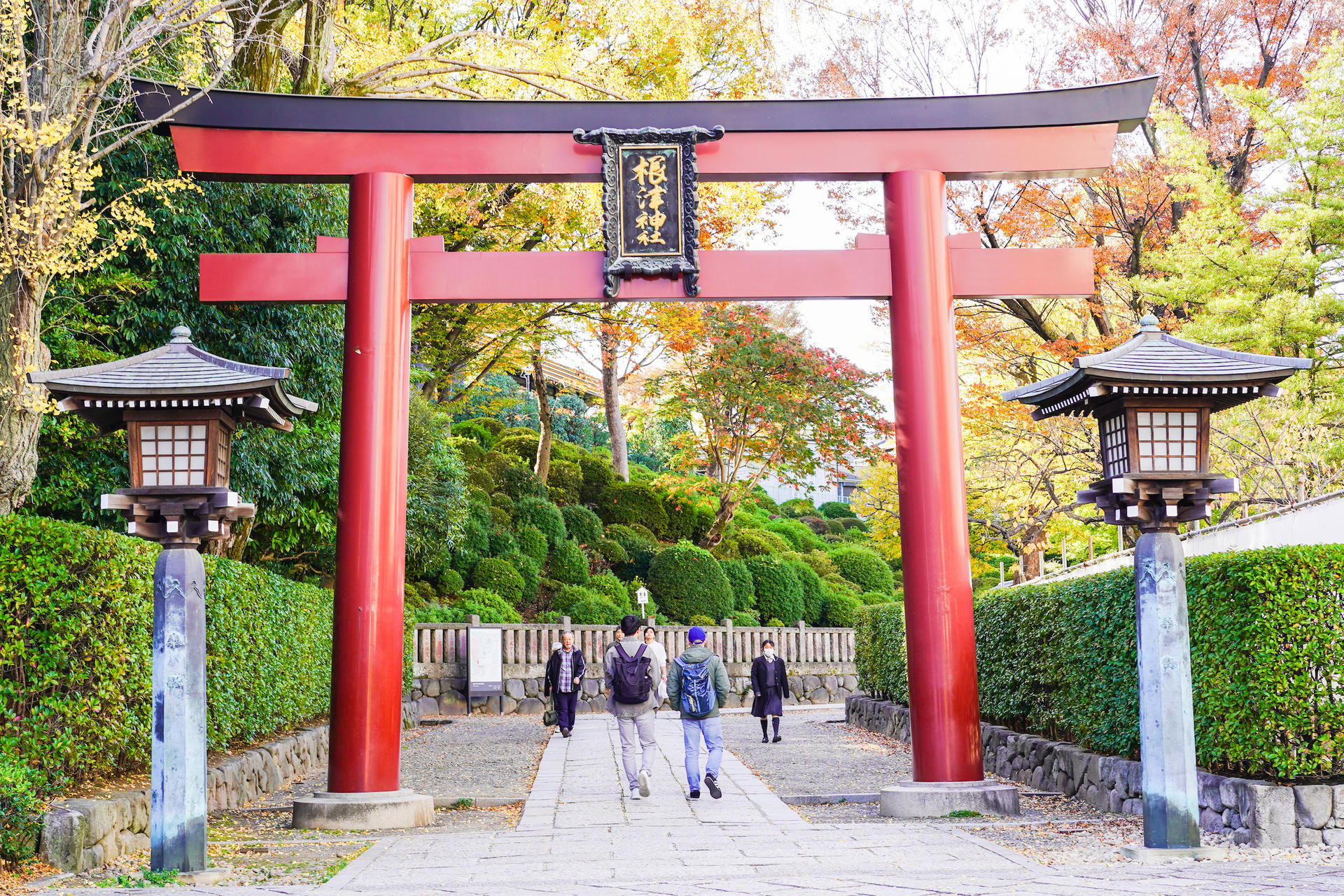 Yanaka Historical City Exploration Walking Tour in Tokyo's Old Town - Thumbnail 11
