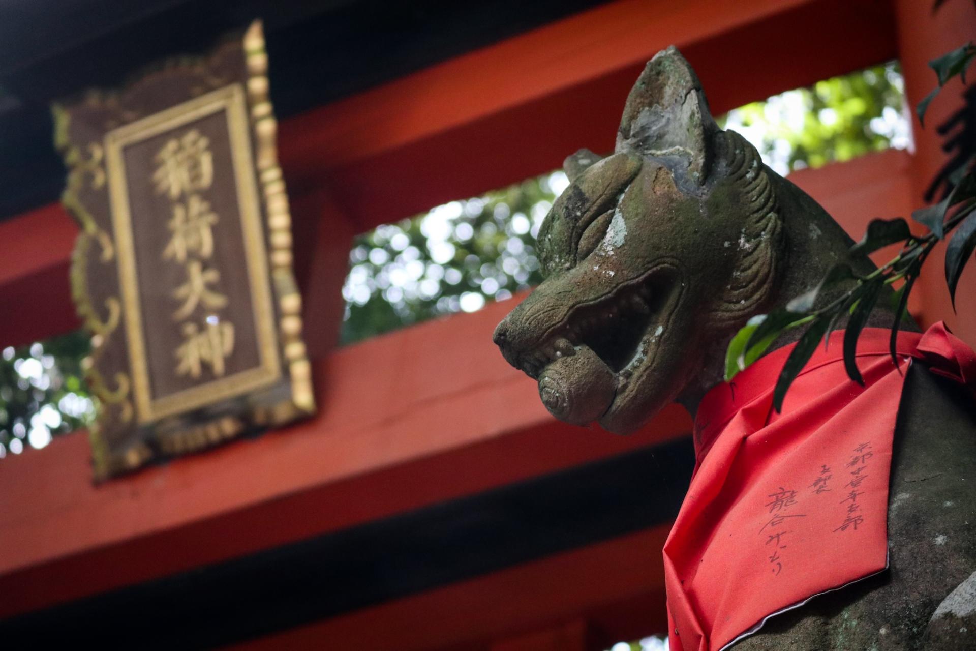 Fushimi Inari Hidden Hiking Tour : Escape the Crowds - Thumbnail 19