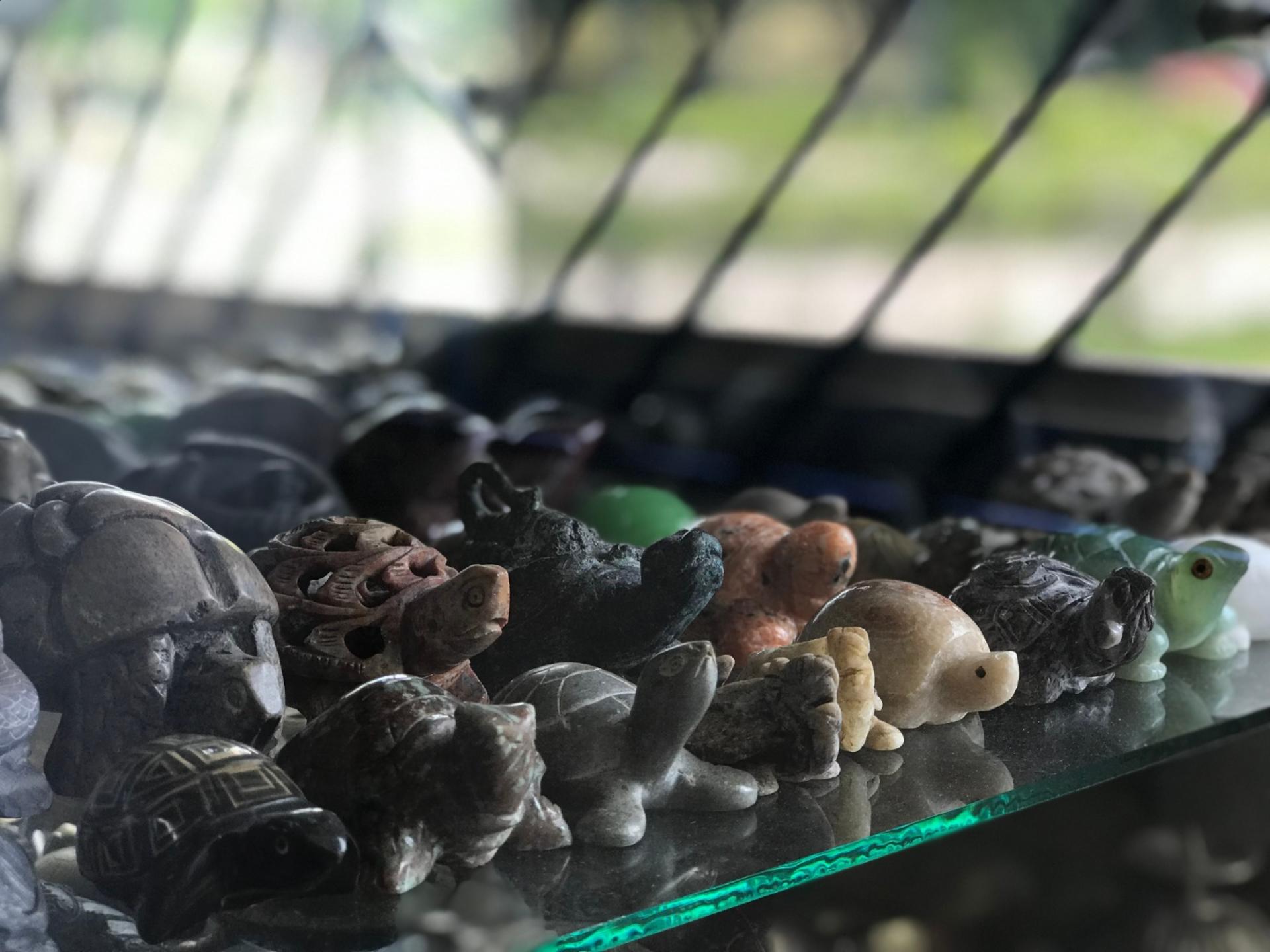 Live Turtle Museum Tickets in Singapore - Thumbnail 4