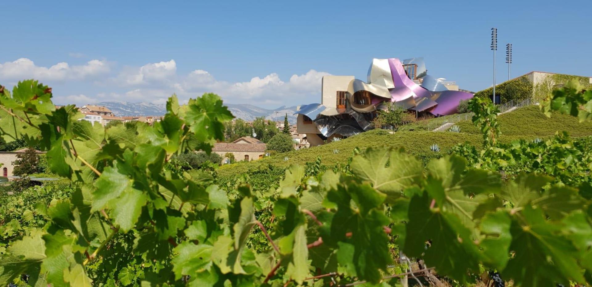 San Sebastian to La Rioja wine experience with tastings and vineyard visits - Thumbnail 3