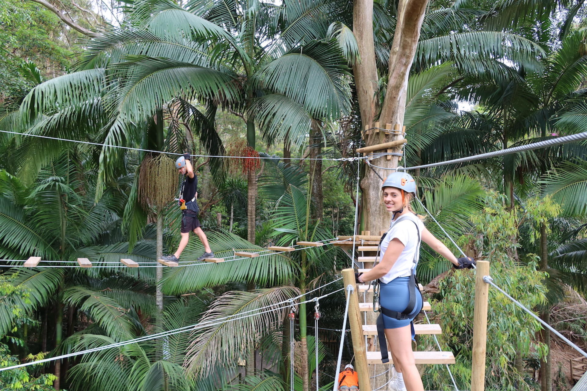 Experience Pass Currumbin Wildlife Sanctuary and Zipline - Thumbnail 4
