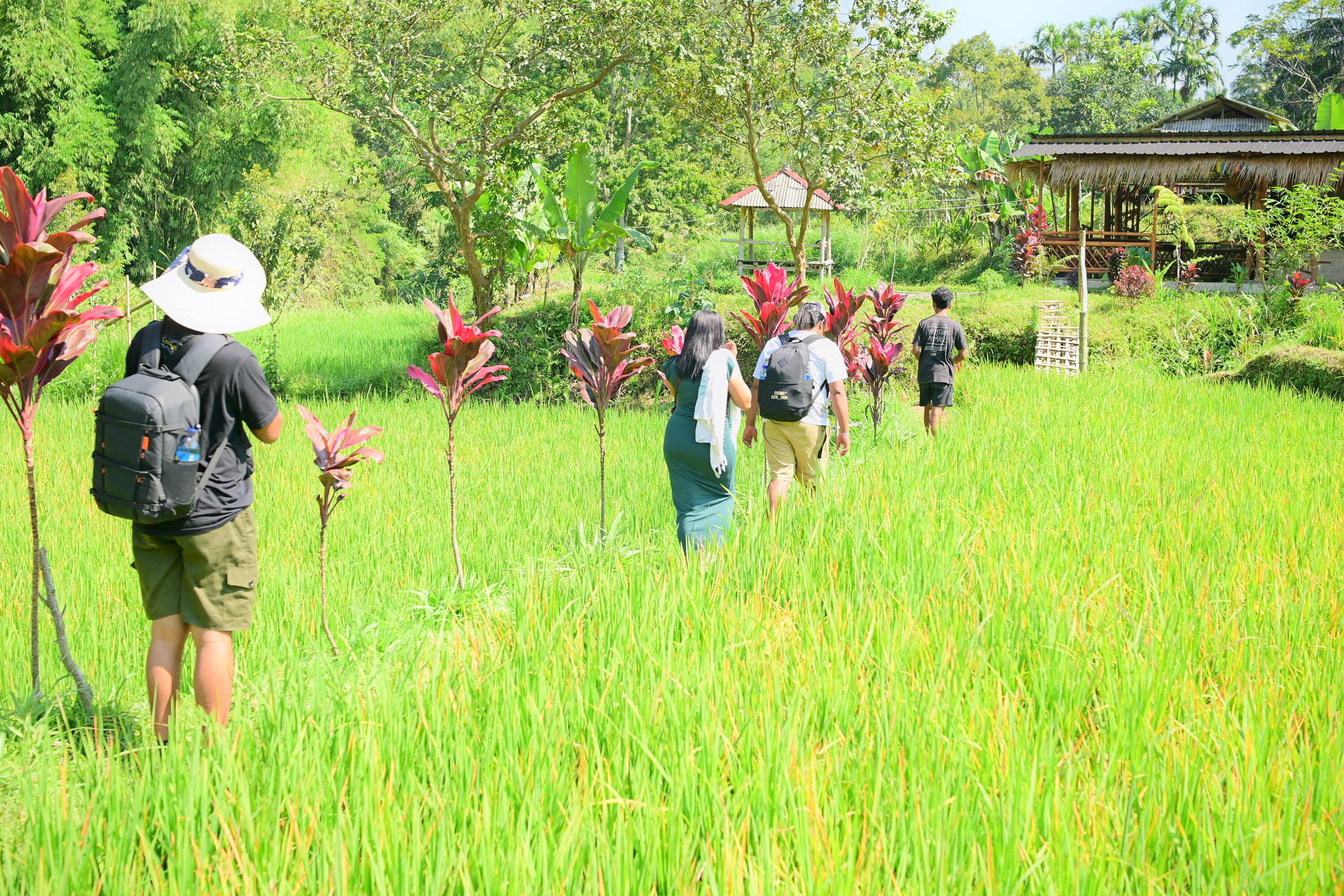 Lombok Tetebatu Full-Day Private Tour - Thumbnail 17