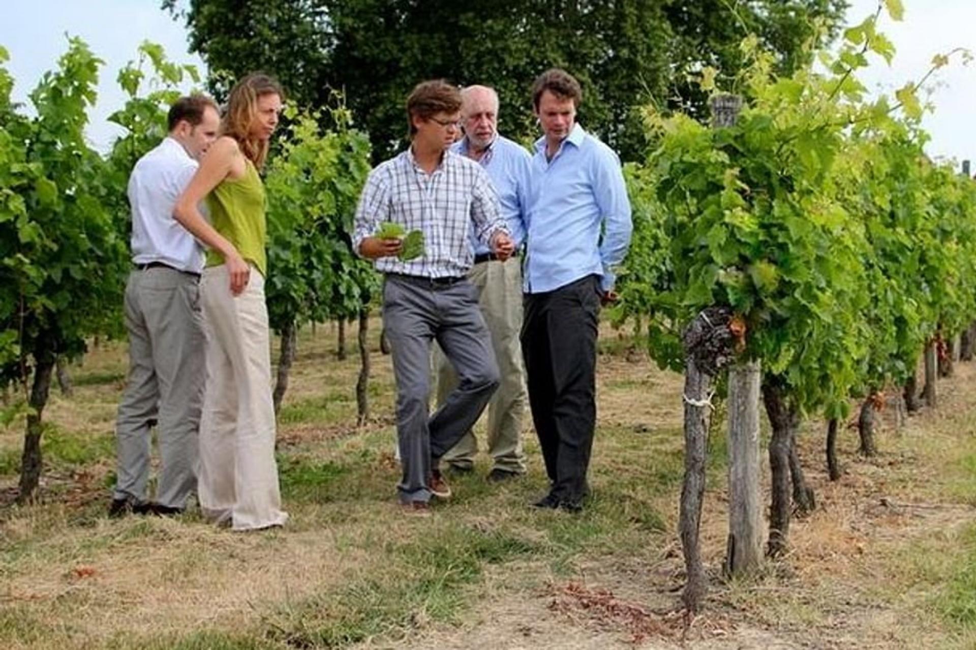 Medoc Afternoon Wine Tour with Appetizer Platter from Bordeaux - Thumbnail 5