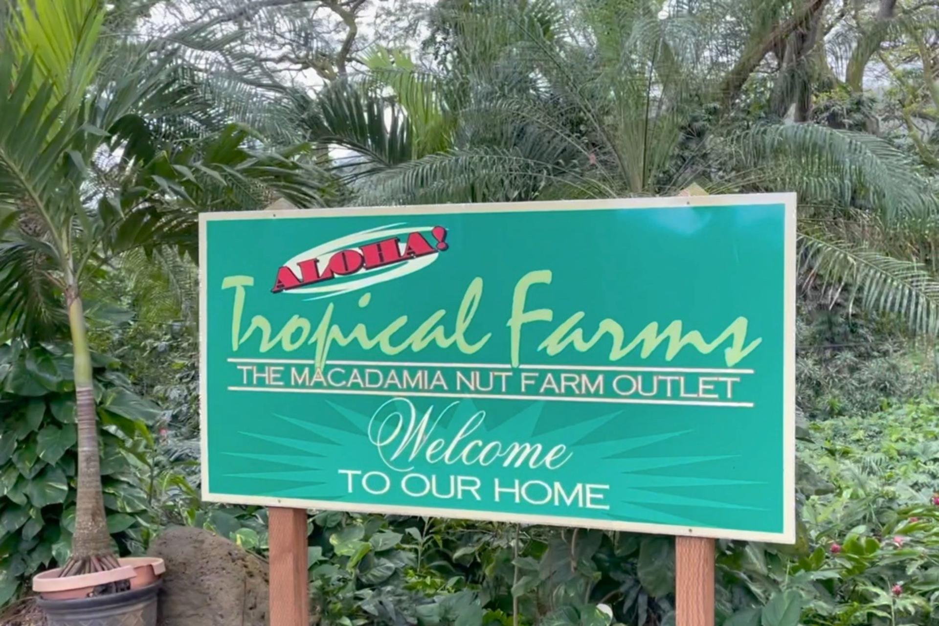 Oahu Allstar Circle Island Tour - Thumbnail 5
