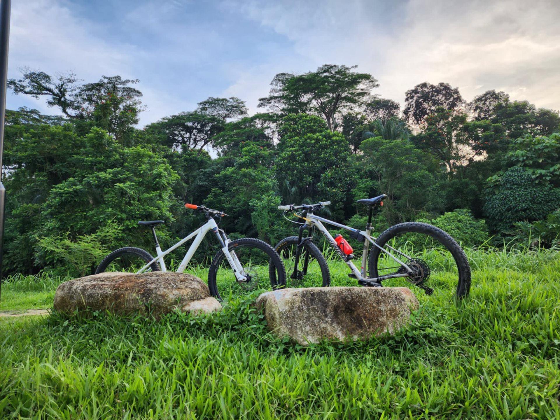 Railway Trail Cycling Tour - Image 1