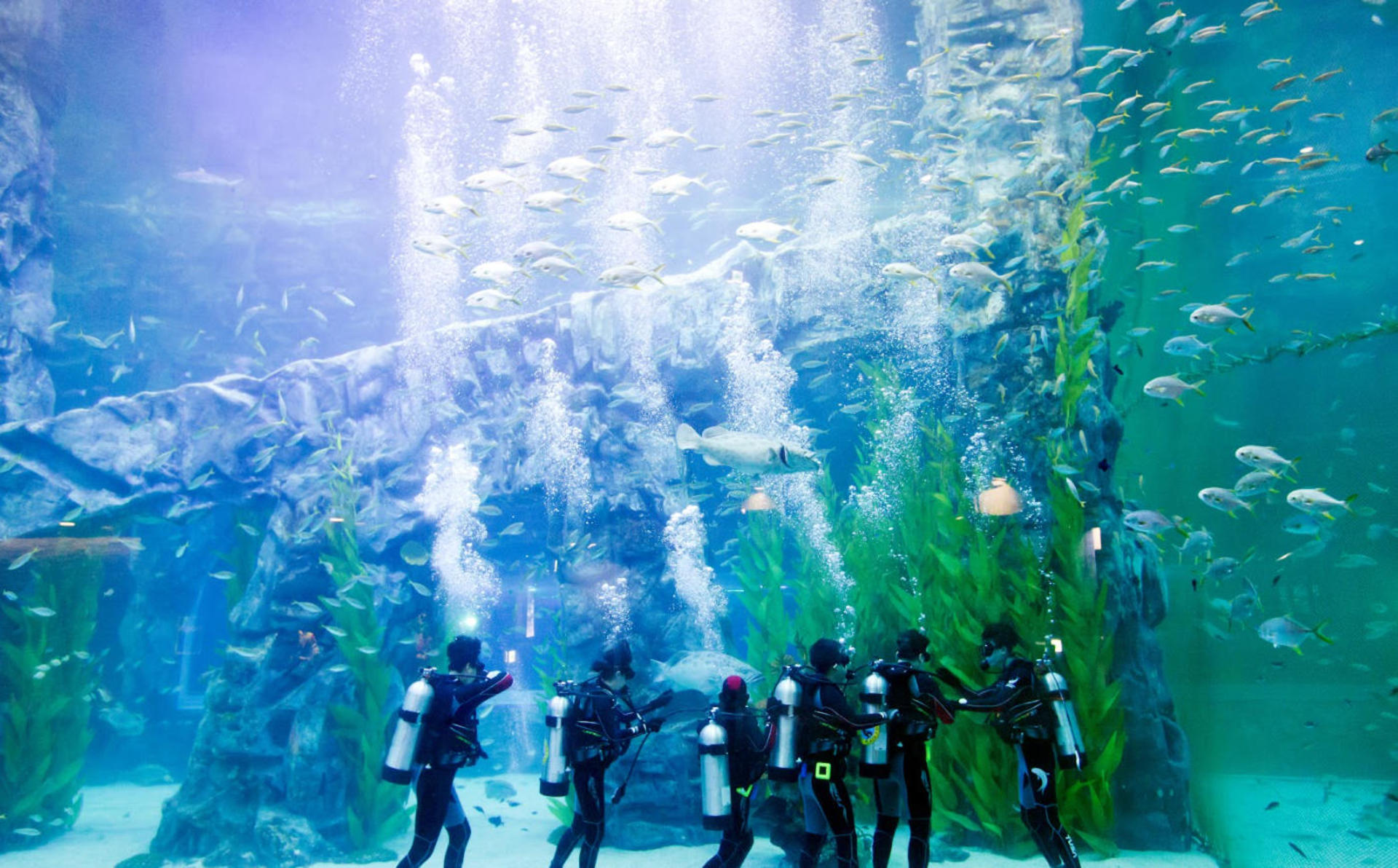 Lotte World + Gyeonggi-do Hot Places Day Tour - Thumbnail 6