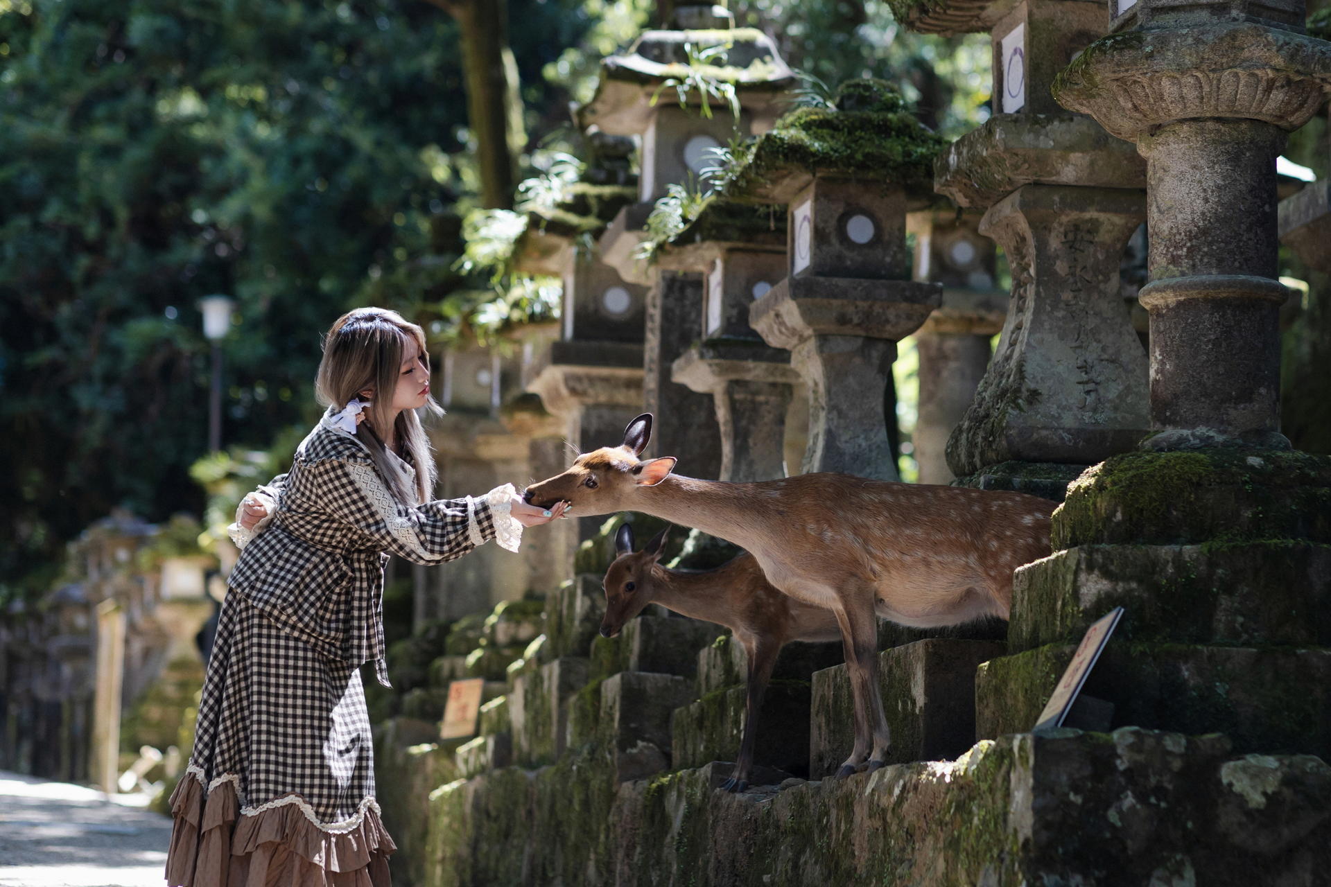 Kyoto Eclat Photography Studio | Kiyomizu-dera & Gion High-Texture Travel Photo Shoots ・ Osaka & Nara Travel Photo Shoots - Thumbnail 2