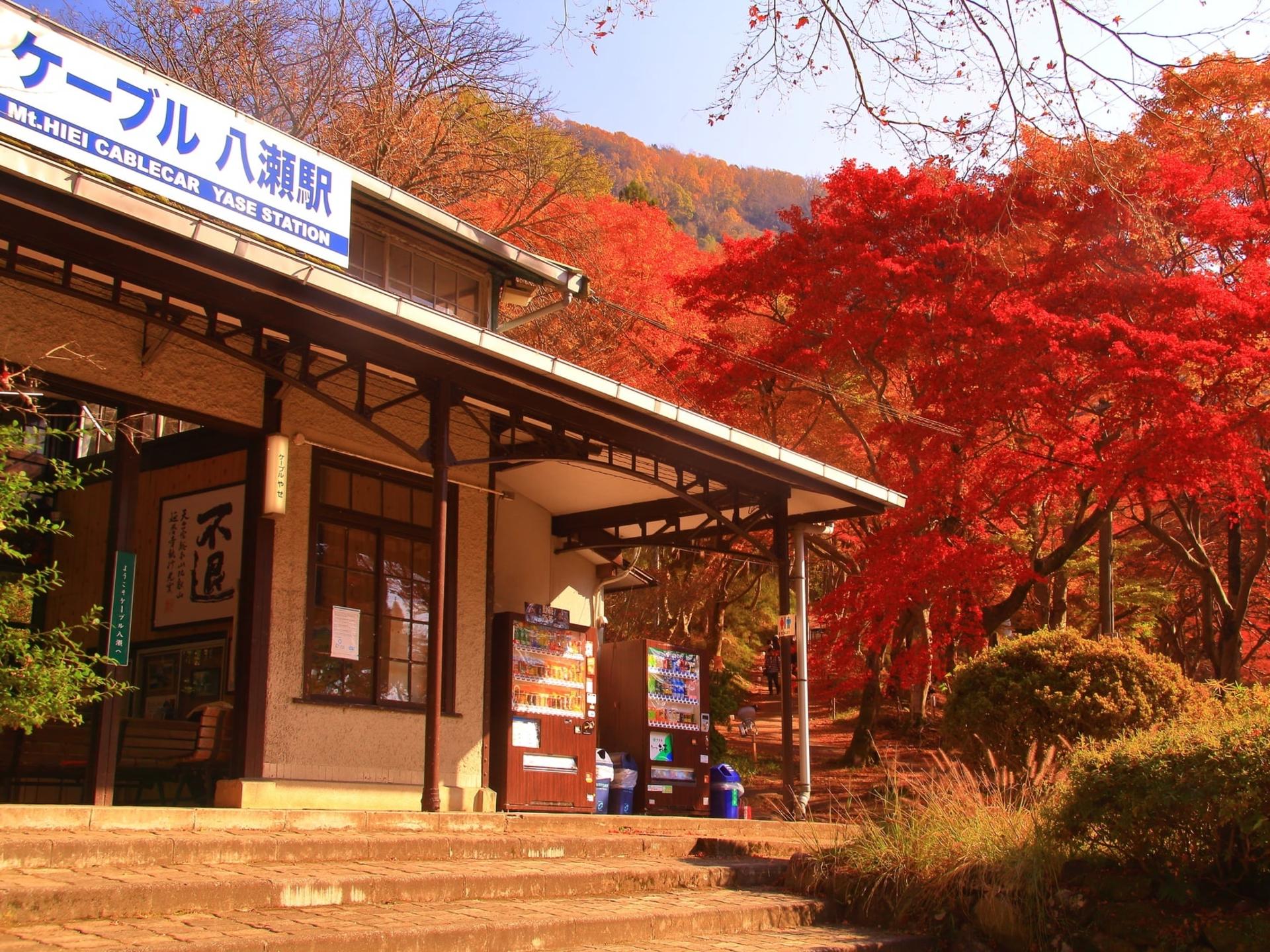 Kyoto: Eizan Cable Car ticket - Thumbnail 4