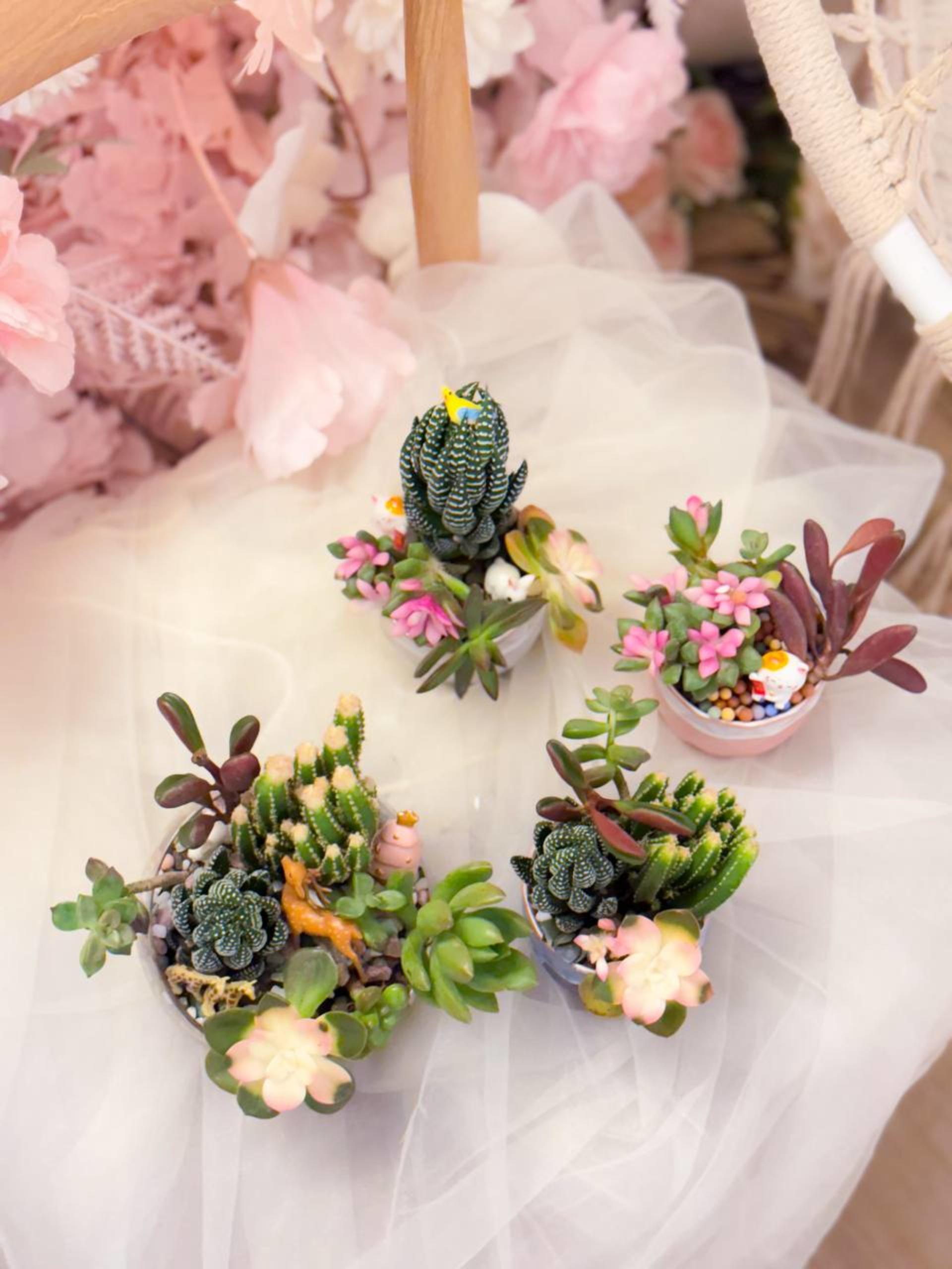 Myosotis Flower - Succulent Terrarium Workshop - Thumbnail 36