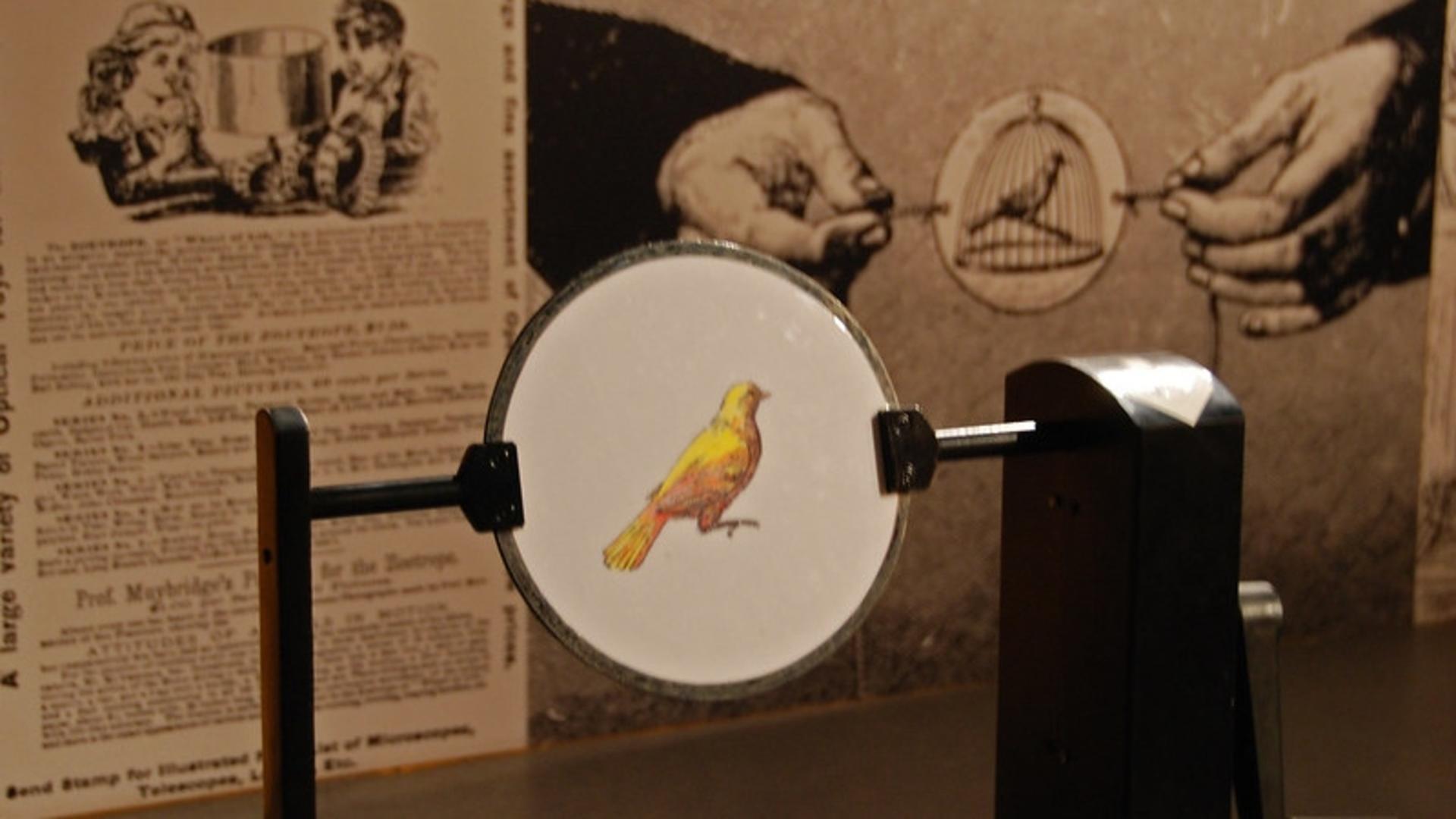Cinema Museum Girona ticket  - Thumbnail 4