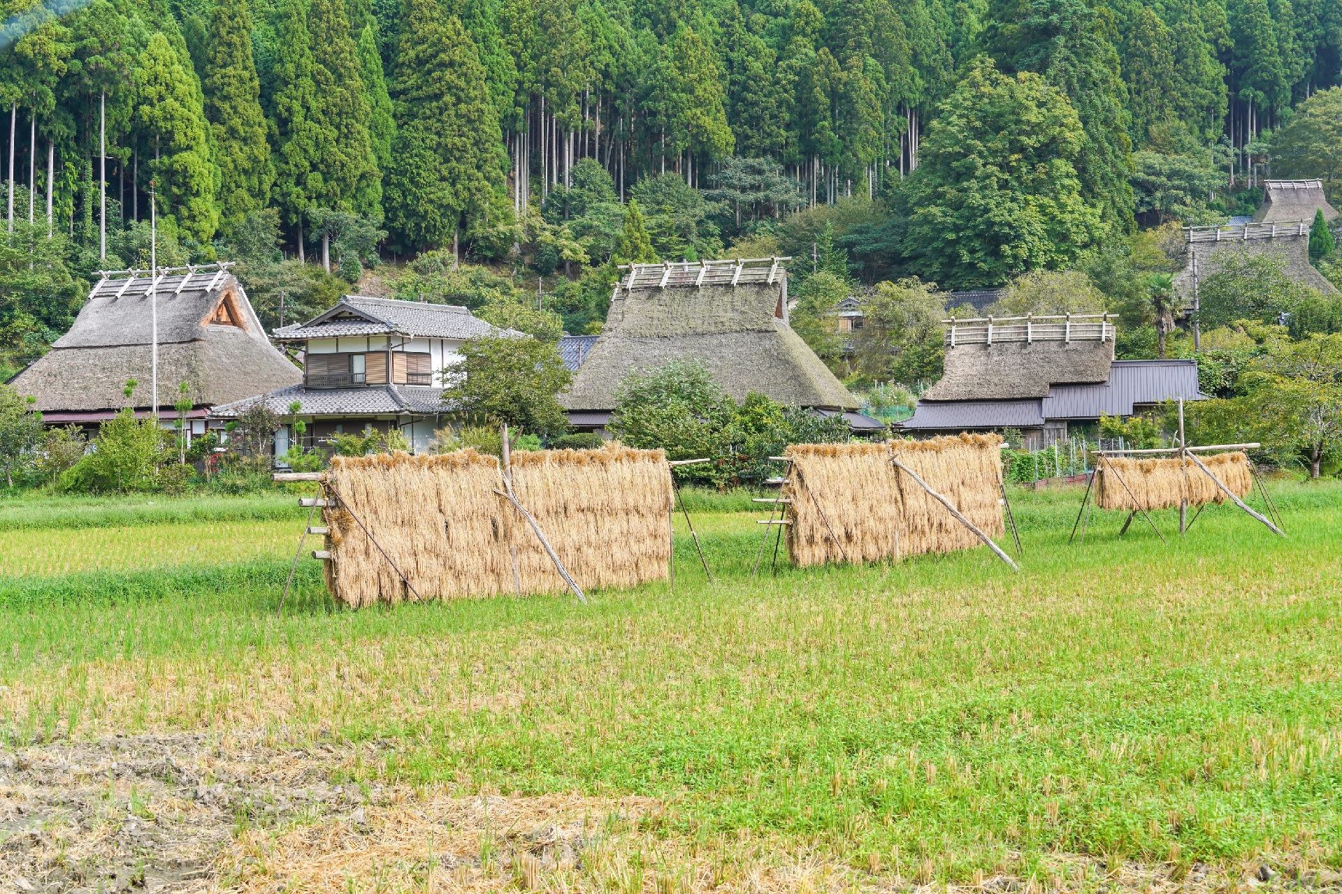 Day Trip to Amanohashidate & Ine no Funaya & Miyama Thatched Village in the Sea of Kyoto (Departure from Osaka or Kyoto) - Thumbnail 37