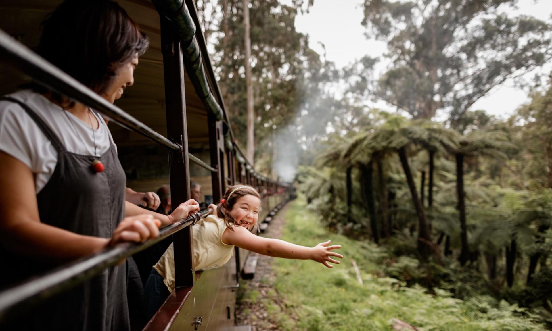 Puffing Billy, Forest Trails & Yarra Valley Discovery Tour - Thumbnail 3