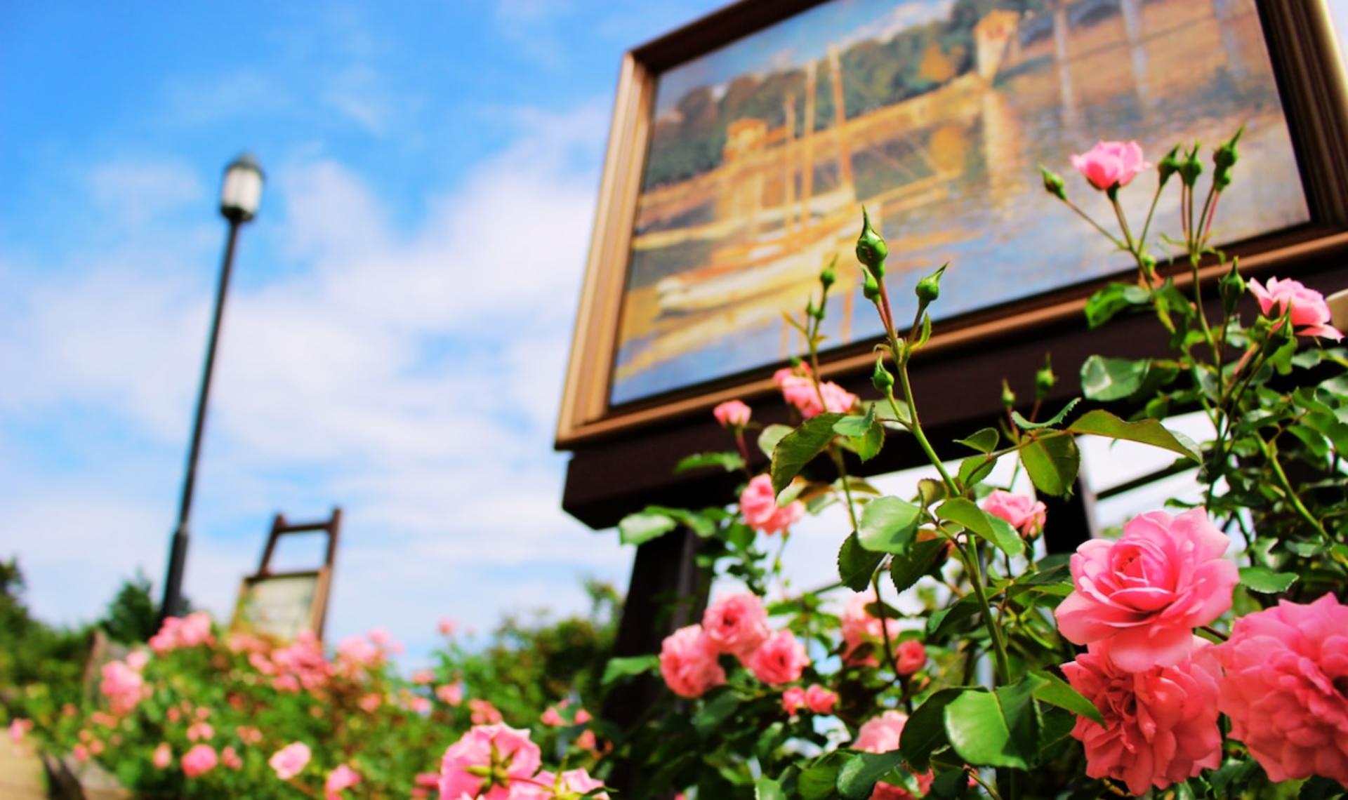 Garden Museum Hiei - Thumbnail 8